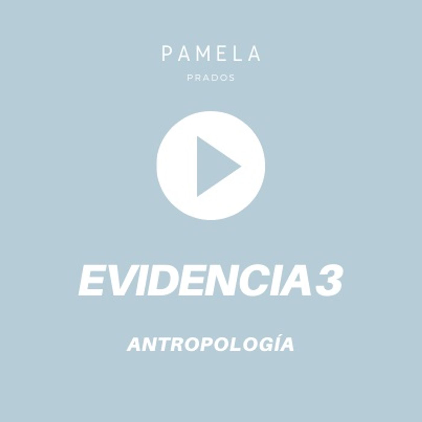 Antropología Evidencia 3