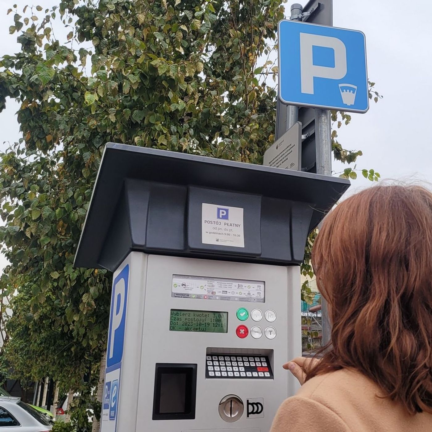 AutoPLUS