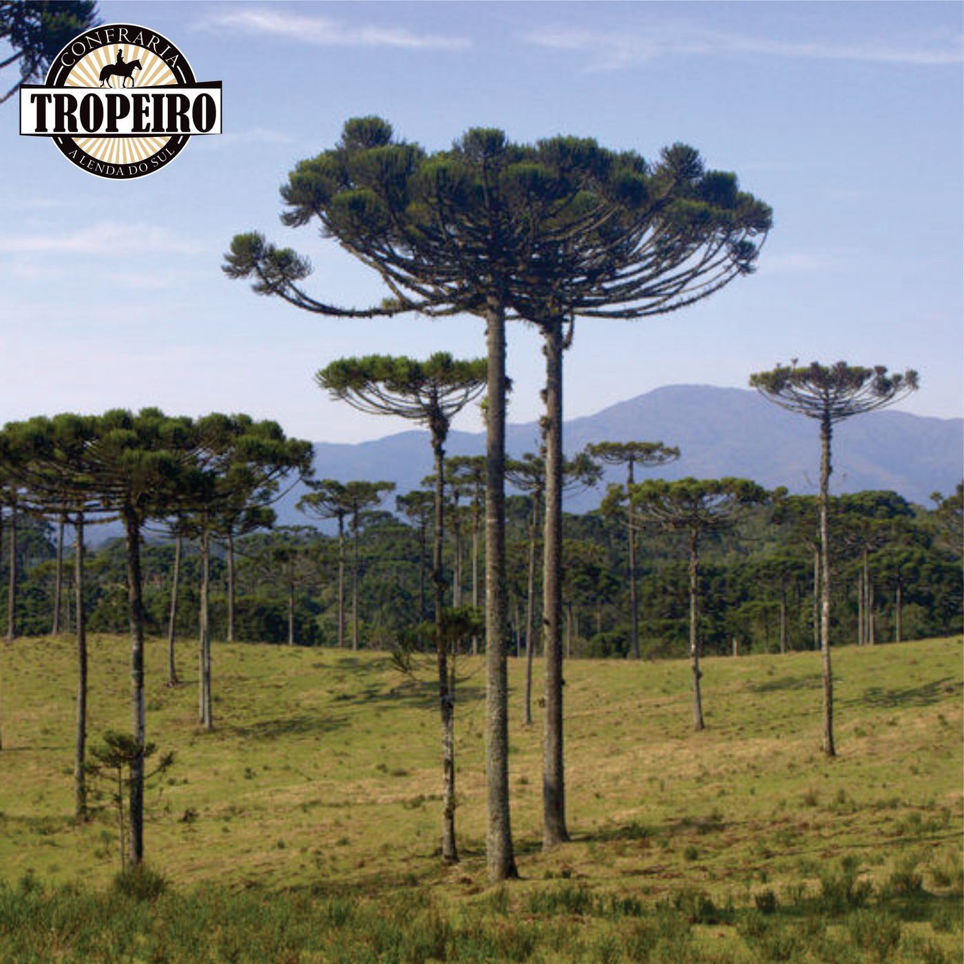 Confraria do Tropeiro