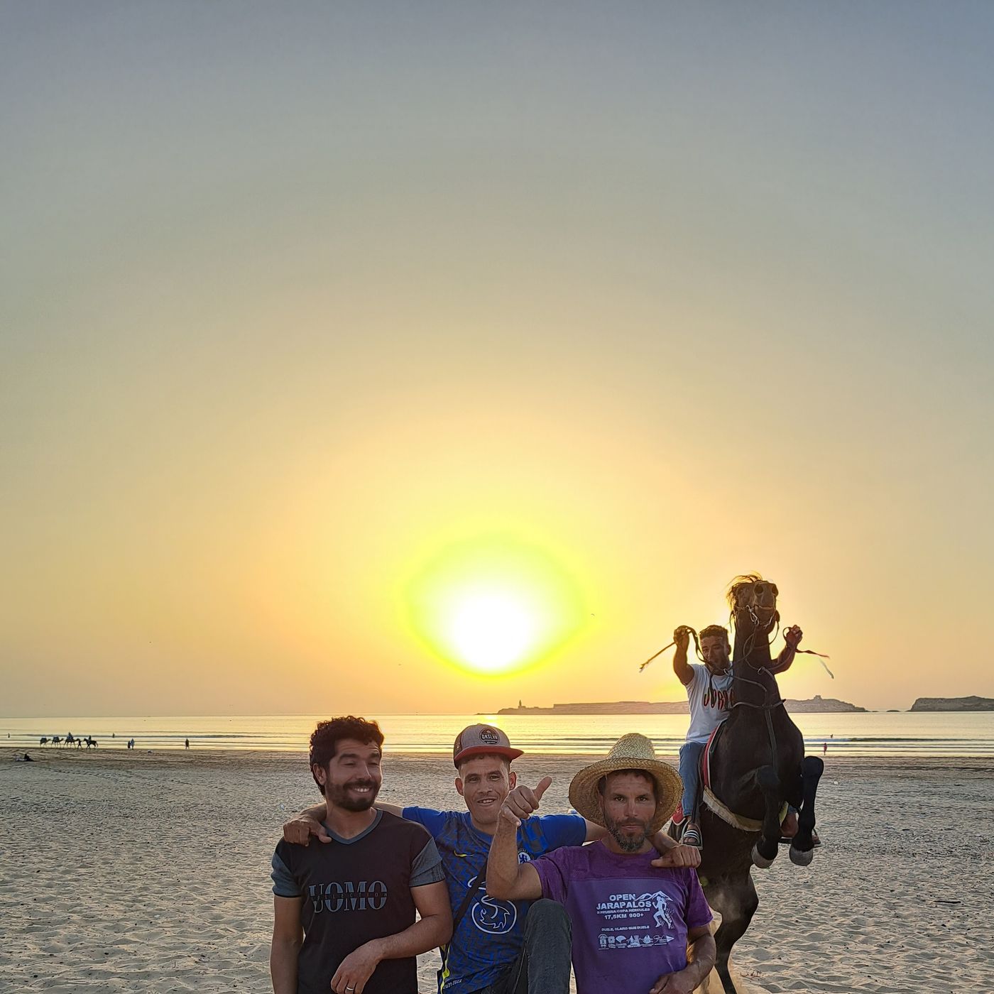 Lovely Essaouira - Horses by Mustafa