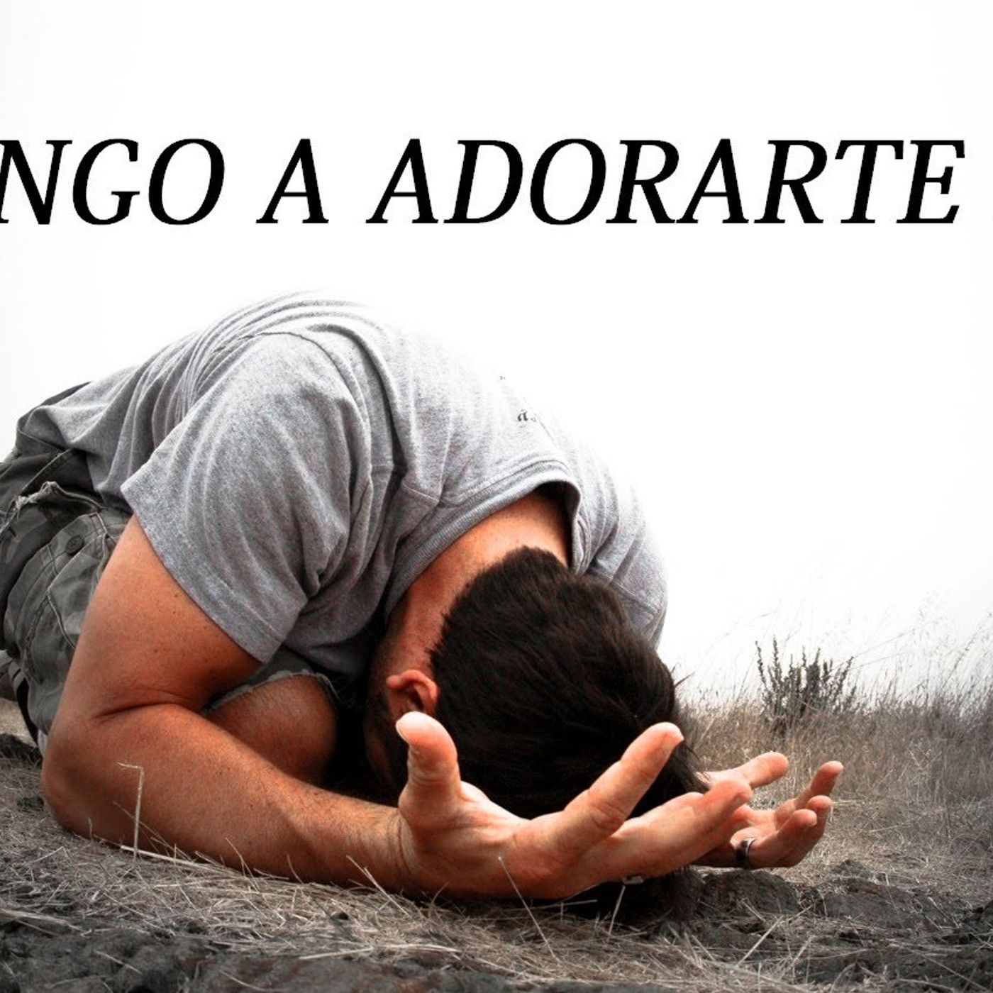 Elarte De Servir