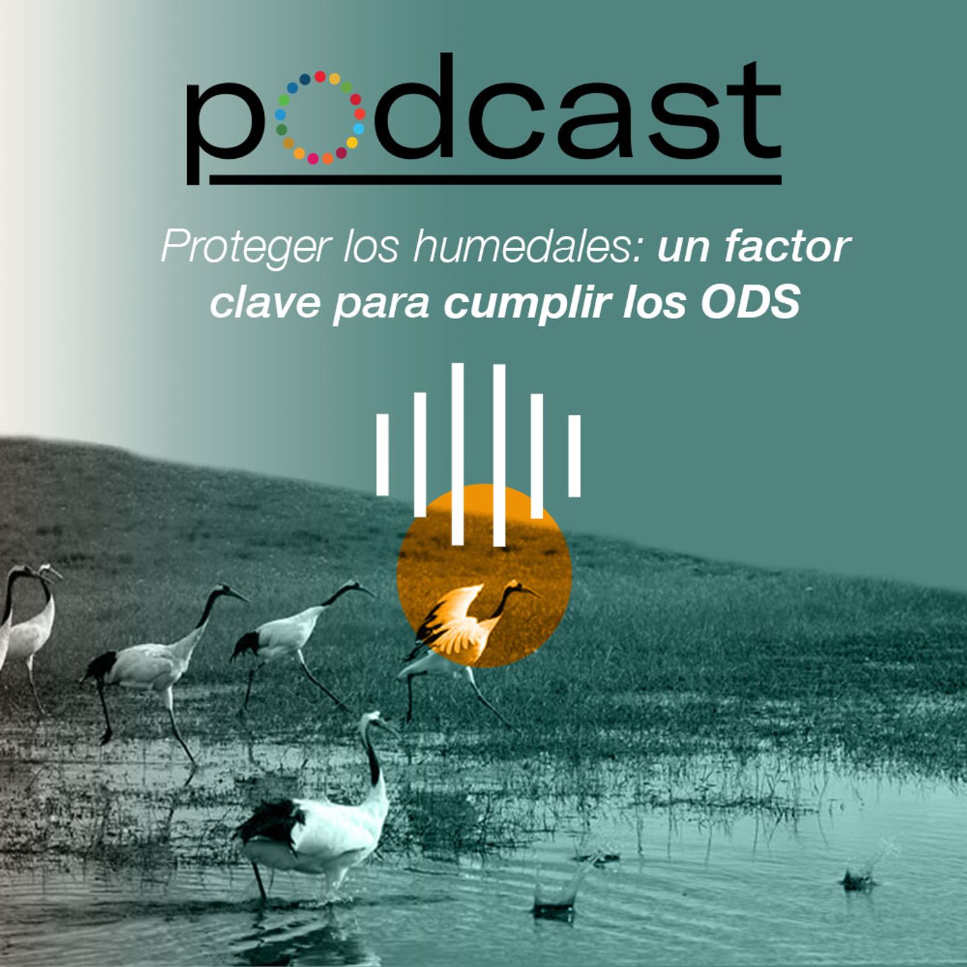 Podcast #ODS