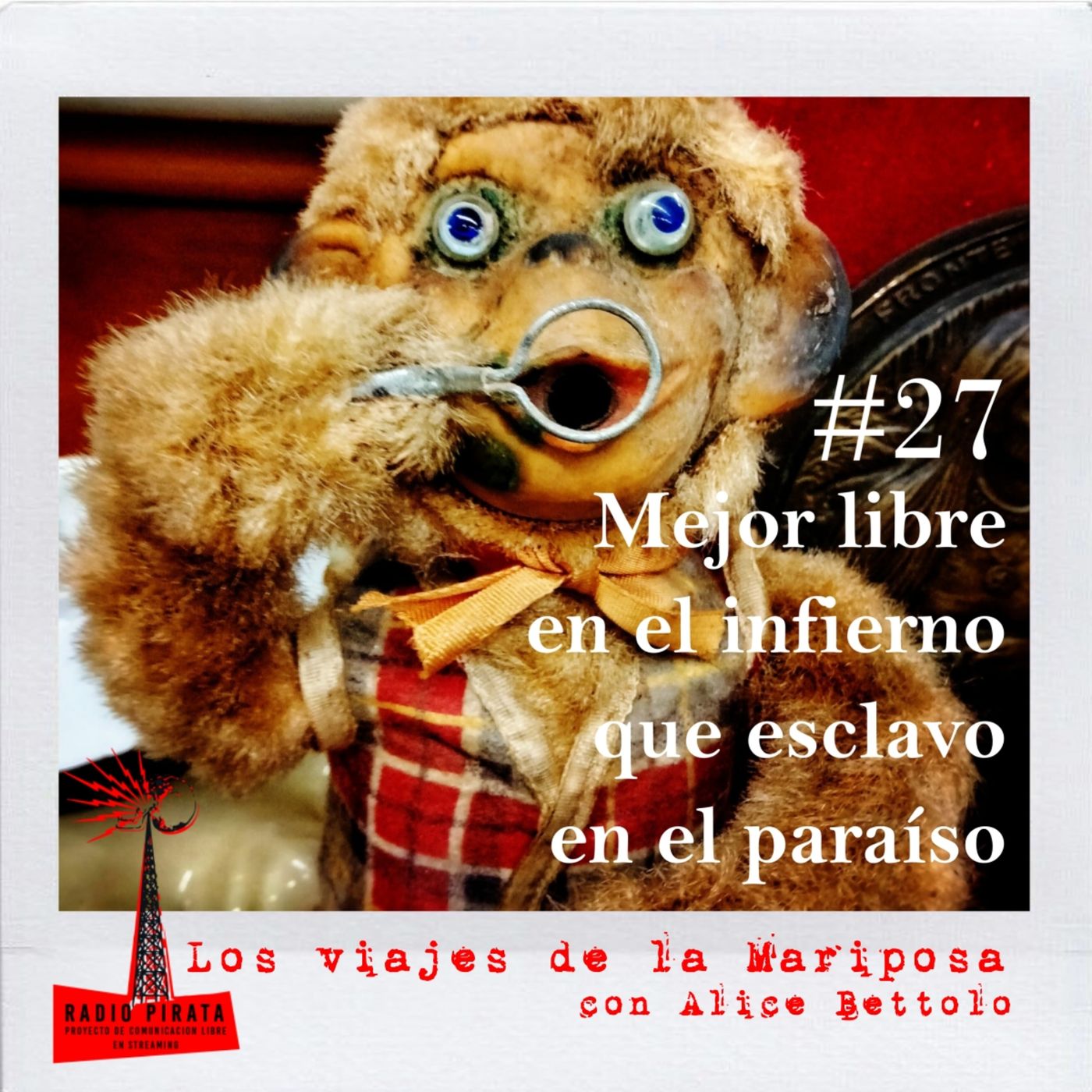 La Radio Pirata - Alice Bettolo