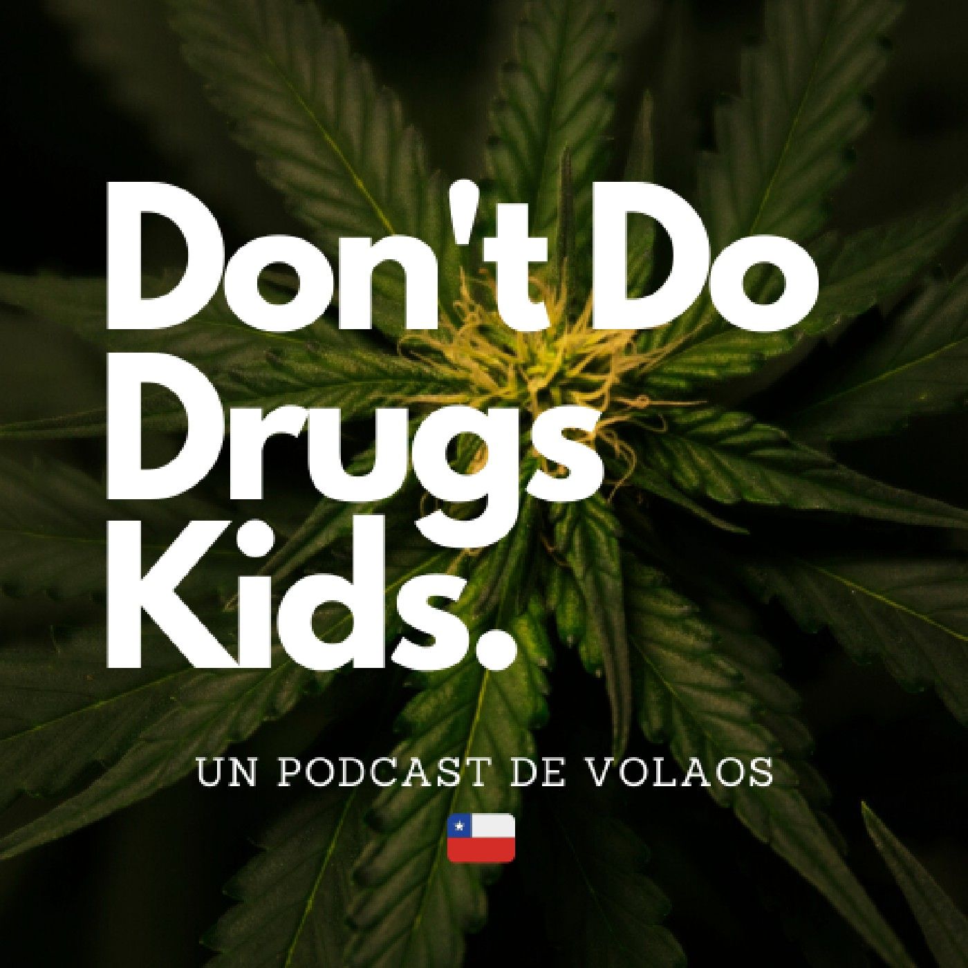 Dont Do Drugs Kids podcast artwork