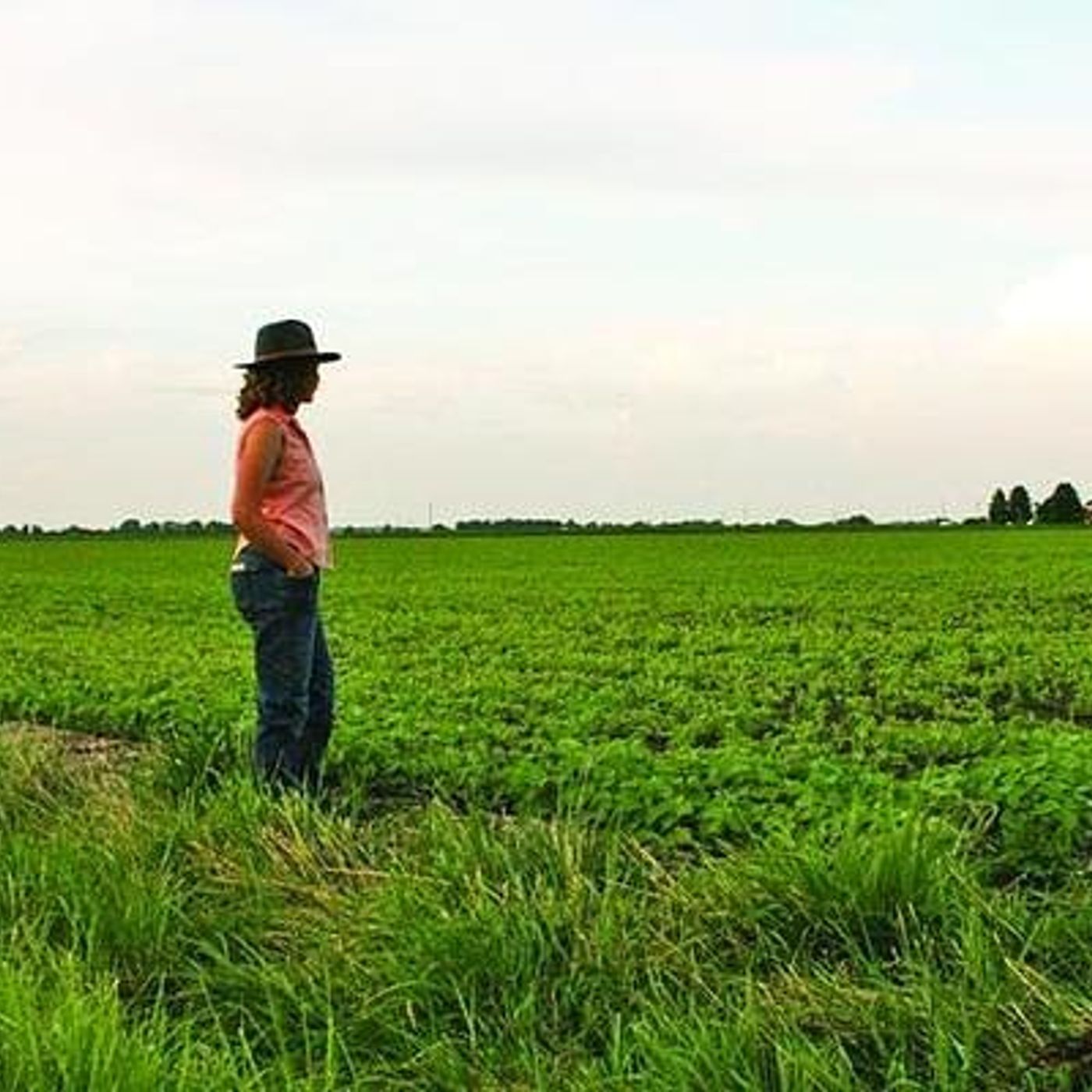 University of Illinois Extension new program helps farmers feeling financial, mental health stress episode artwork