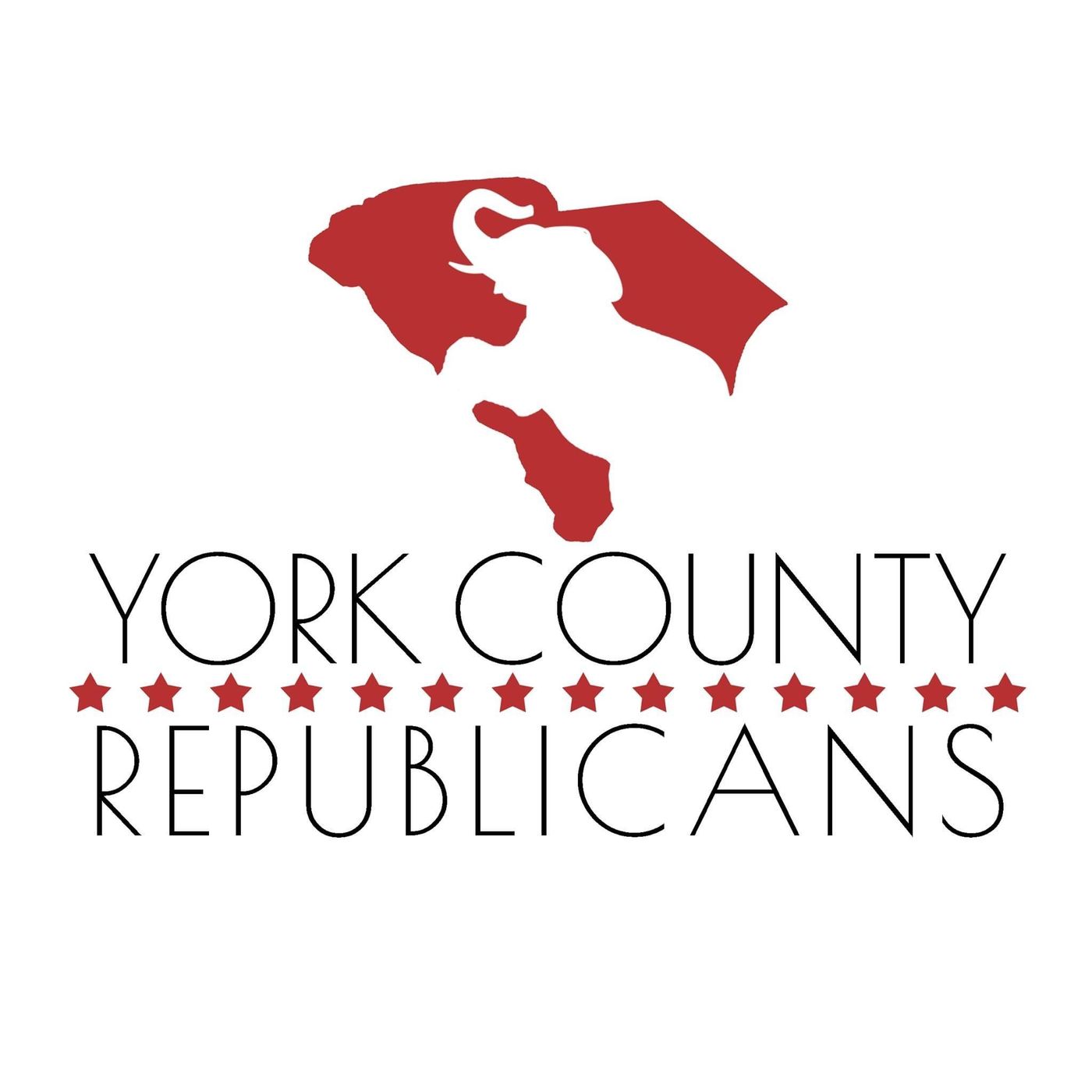 York County, SC GOP cover art