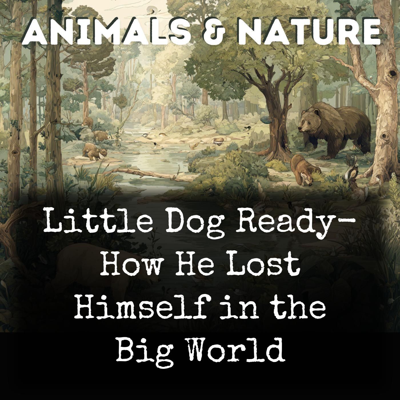 Little Dog Ready- How He Lost Himself in the Big World cover art