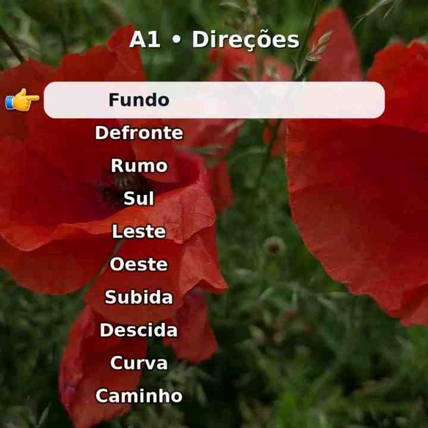 Repita em voz alta_ direções. Nível A1. episode artwork