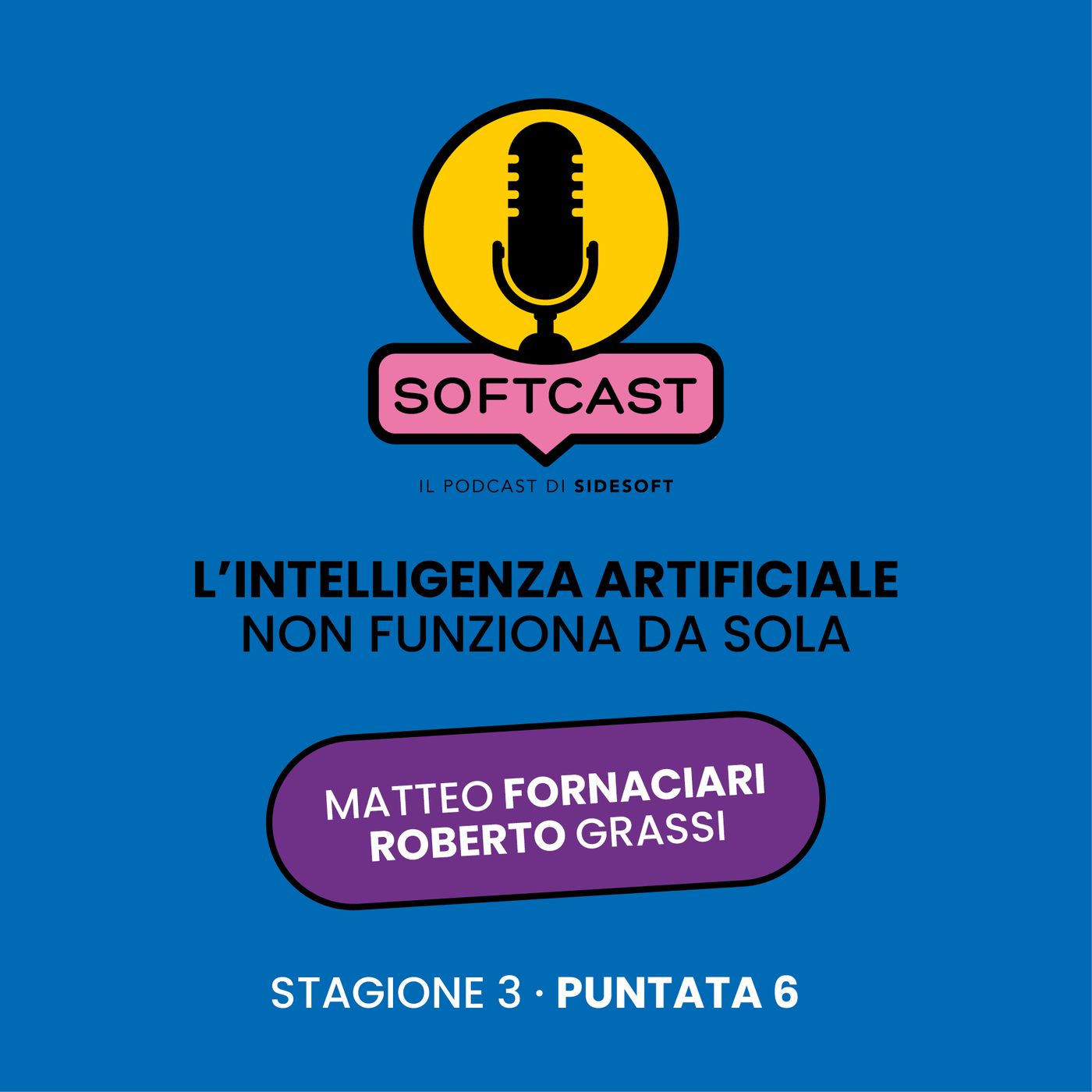 Softcast