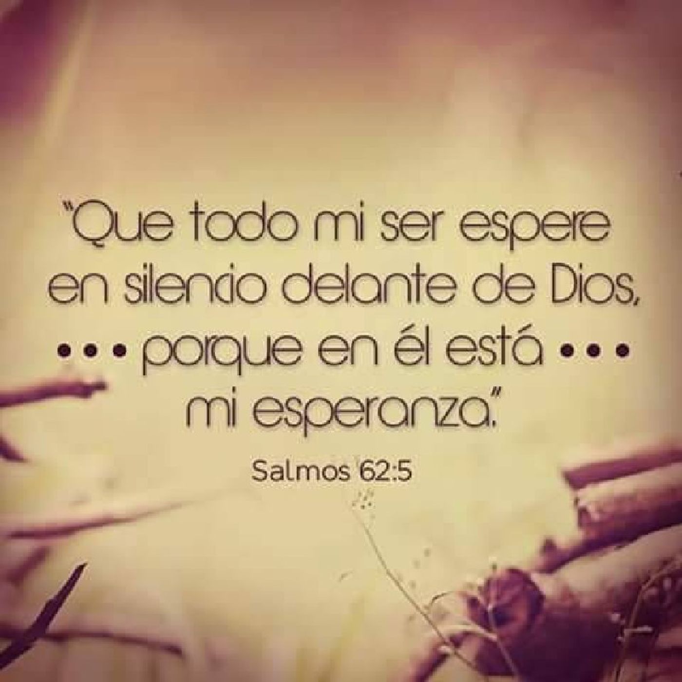 La Reflexión del Día "Cada aspecto y dimensión del ser y de la vida le pertenece a Dios" episode artwork