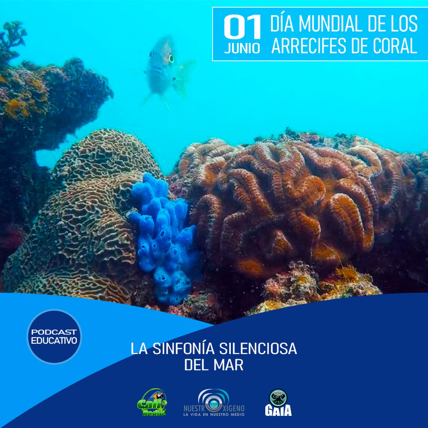 2024 Nuestro Oxigeno 05- Mayo