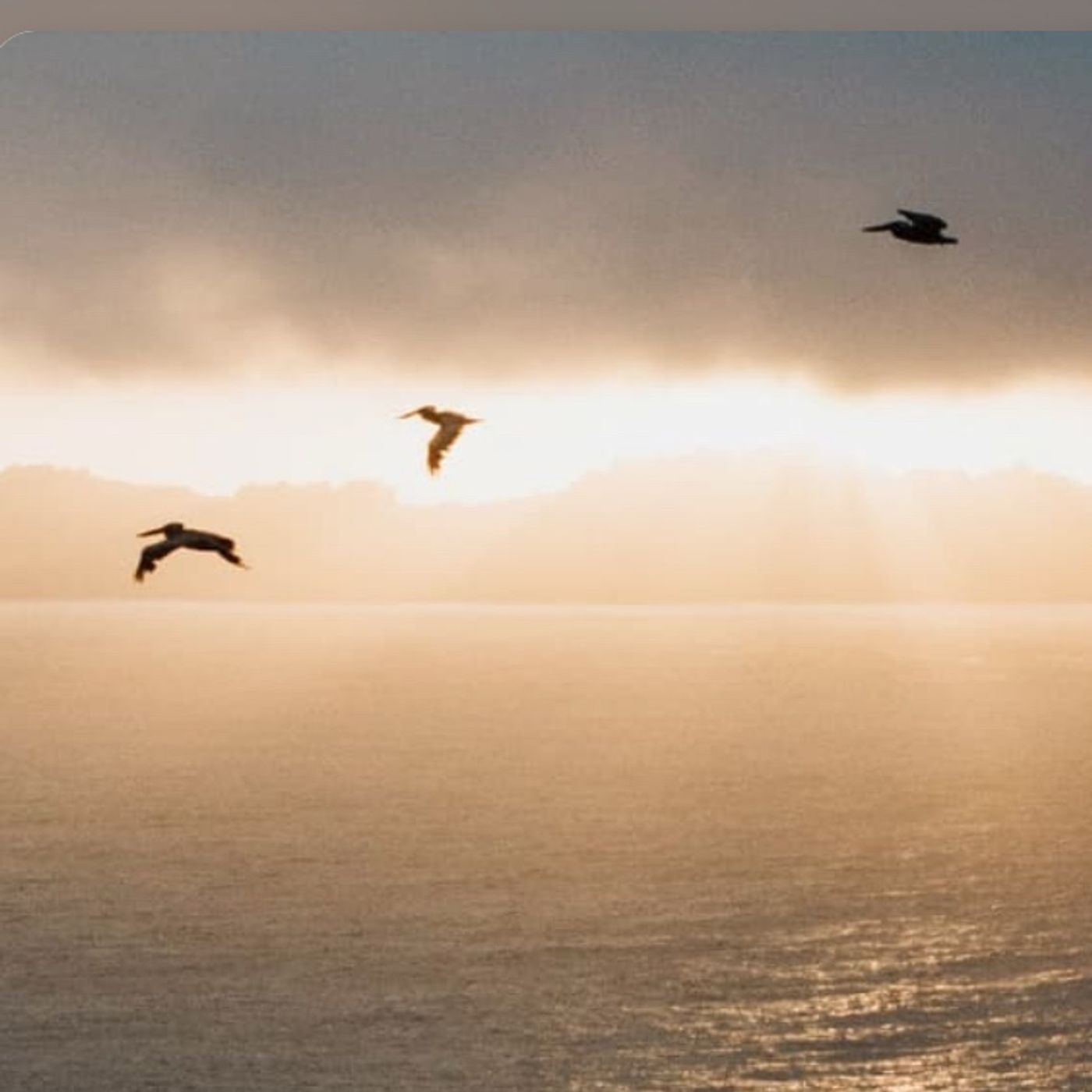 Episode 1470 - Jo’s Place Episode 1470 - Jo’s Place