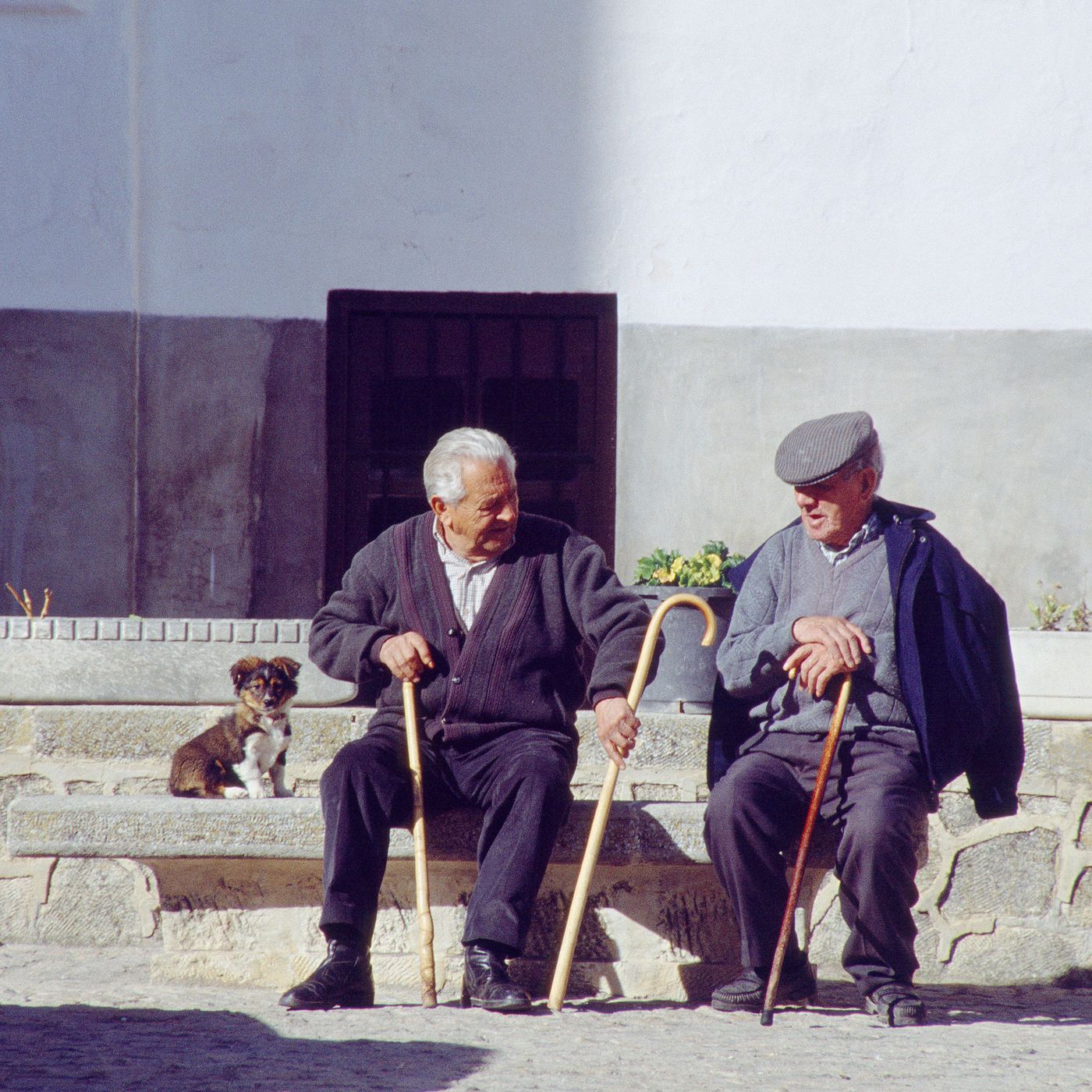 Prensa económica: Golpe a los jubilados futuros