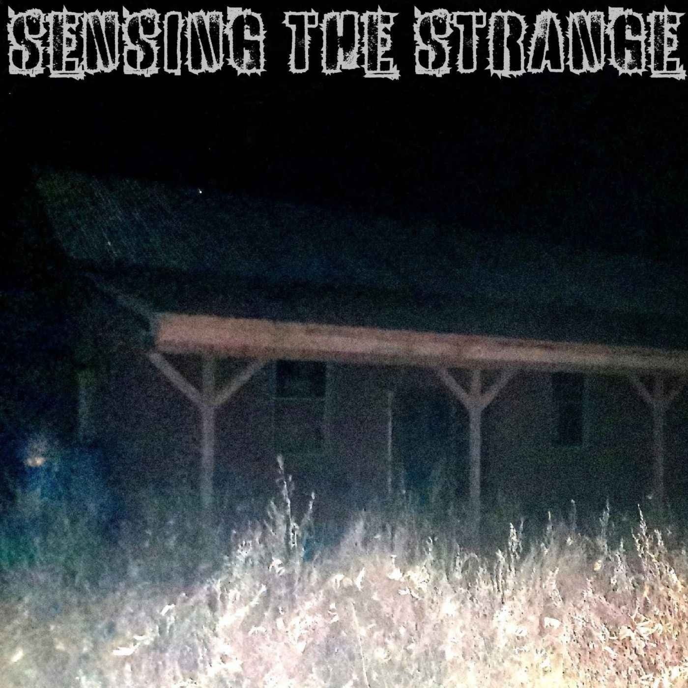 Ep. #616: SENSING THE STRANGE w/ Alan Megargle, Ron Meyer, Tom Dongo, Melinda Leslie & Hoodoo Tall