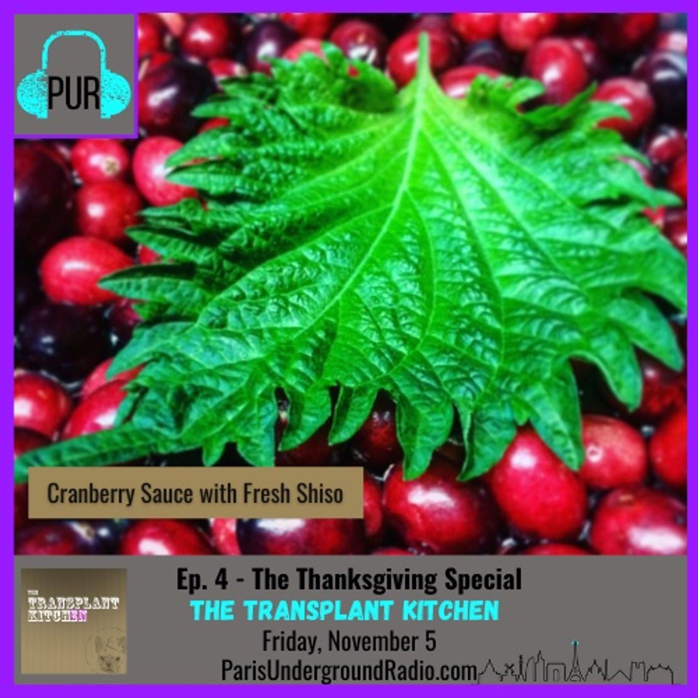 The Thanksgiving Special