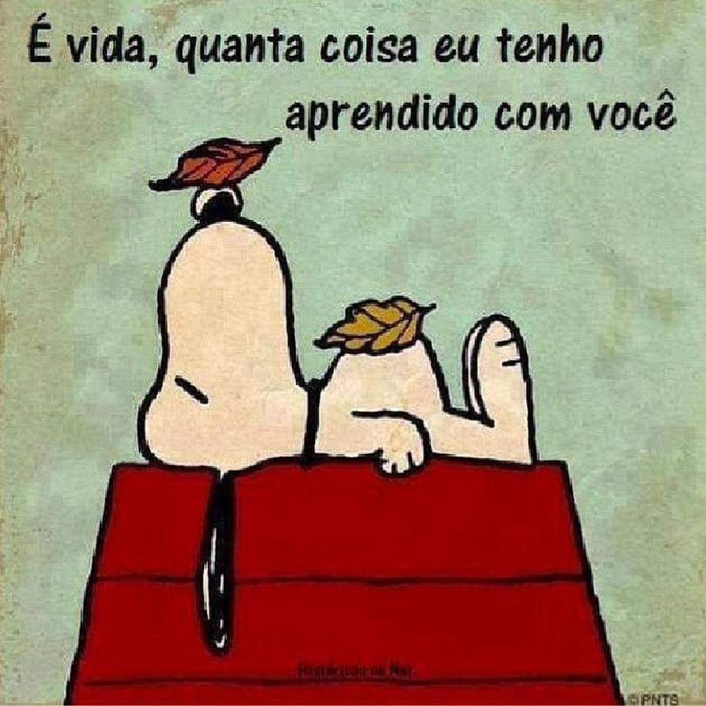 Só por hoje - 09 de março episode artwork