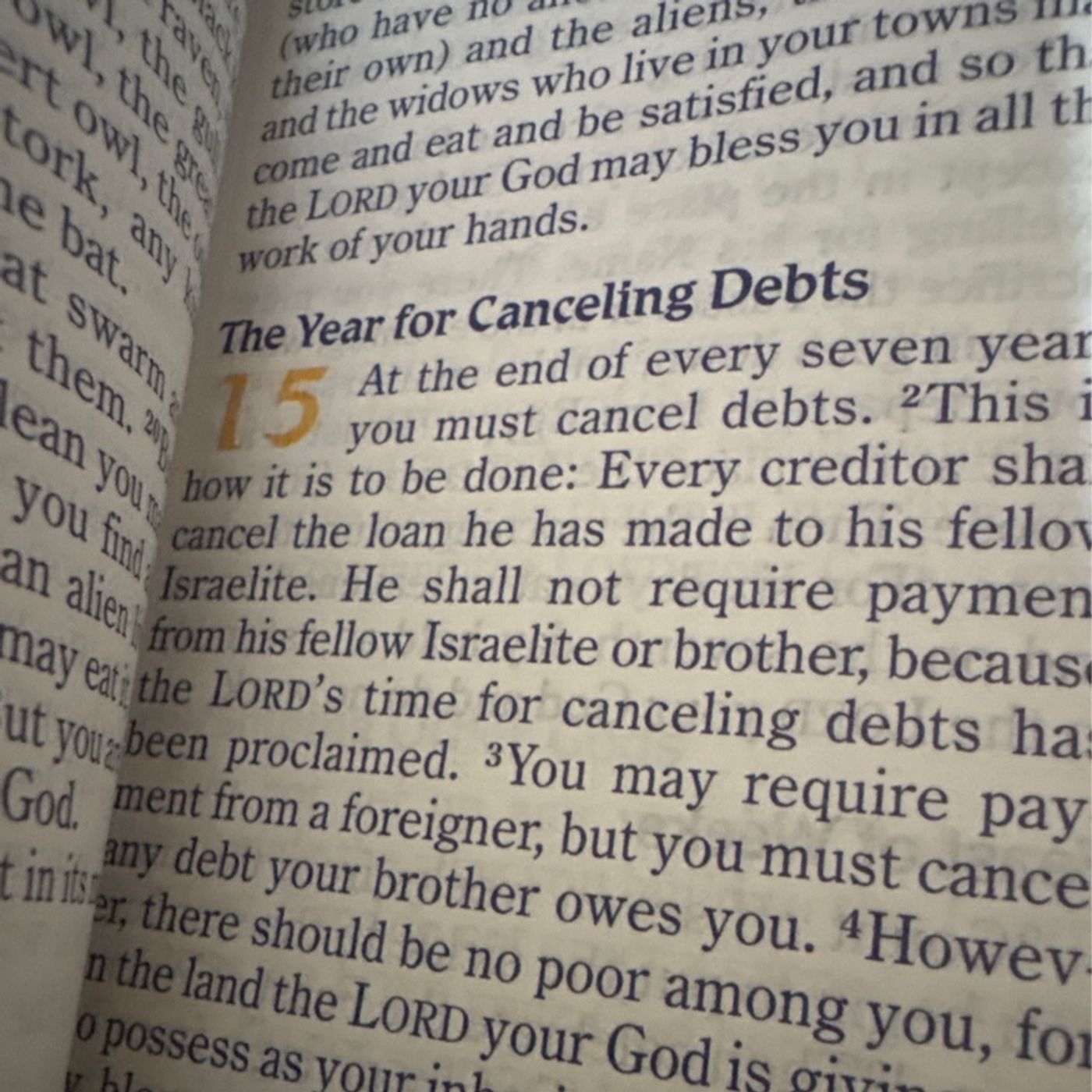 Episode 212 - Positivity Successor (THE YEAR OF CANCELING DEBTS)