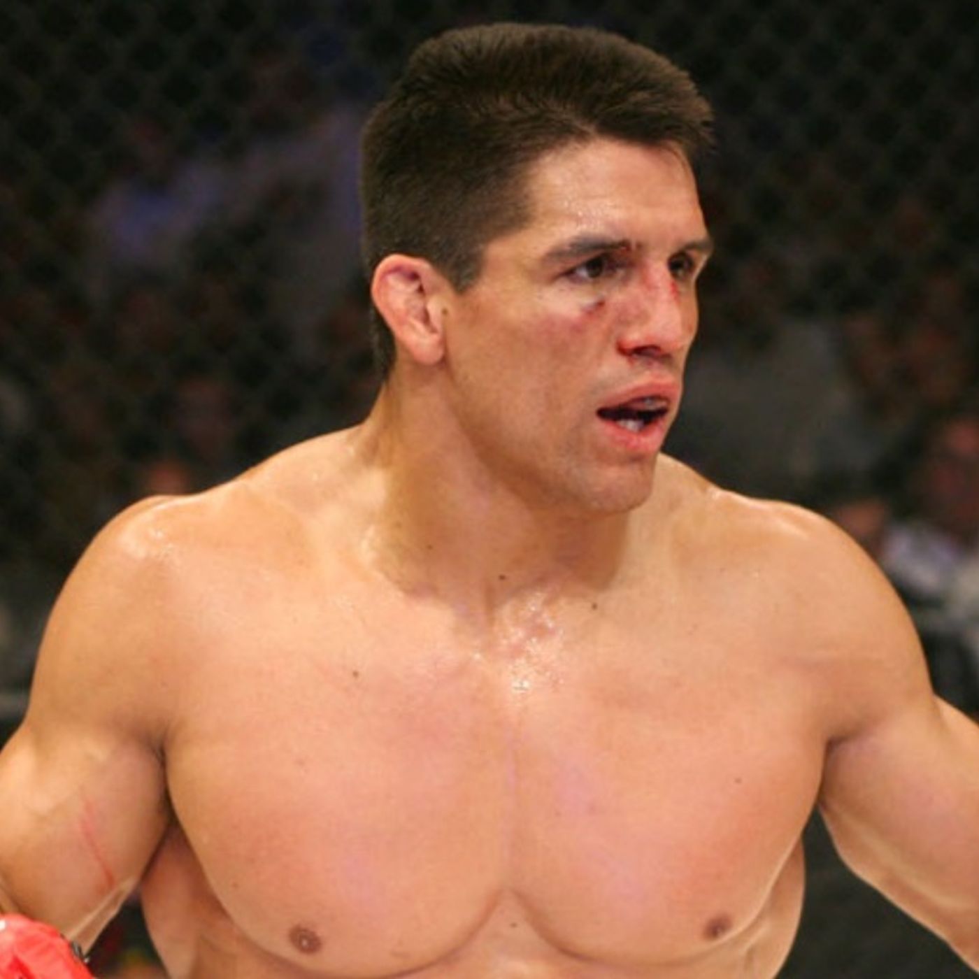 Frank Shamrock/The Domenick Nati Radio Show episode artwork