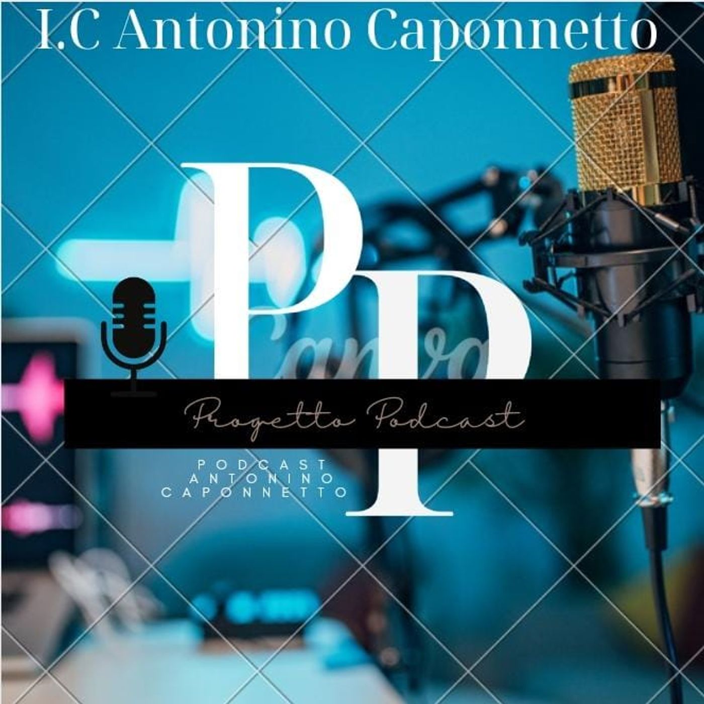 Voci dalla Caponnetto podcast artwork