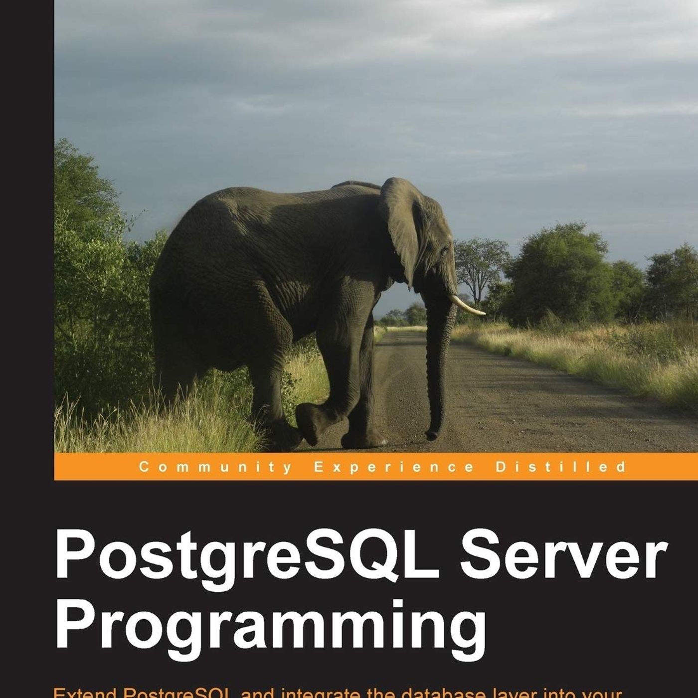 PostgreSQL Server Programming
