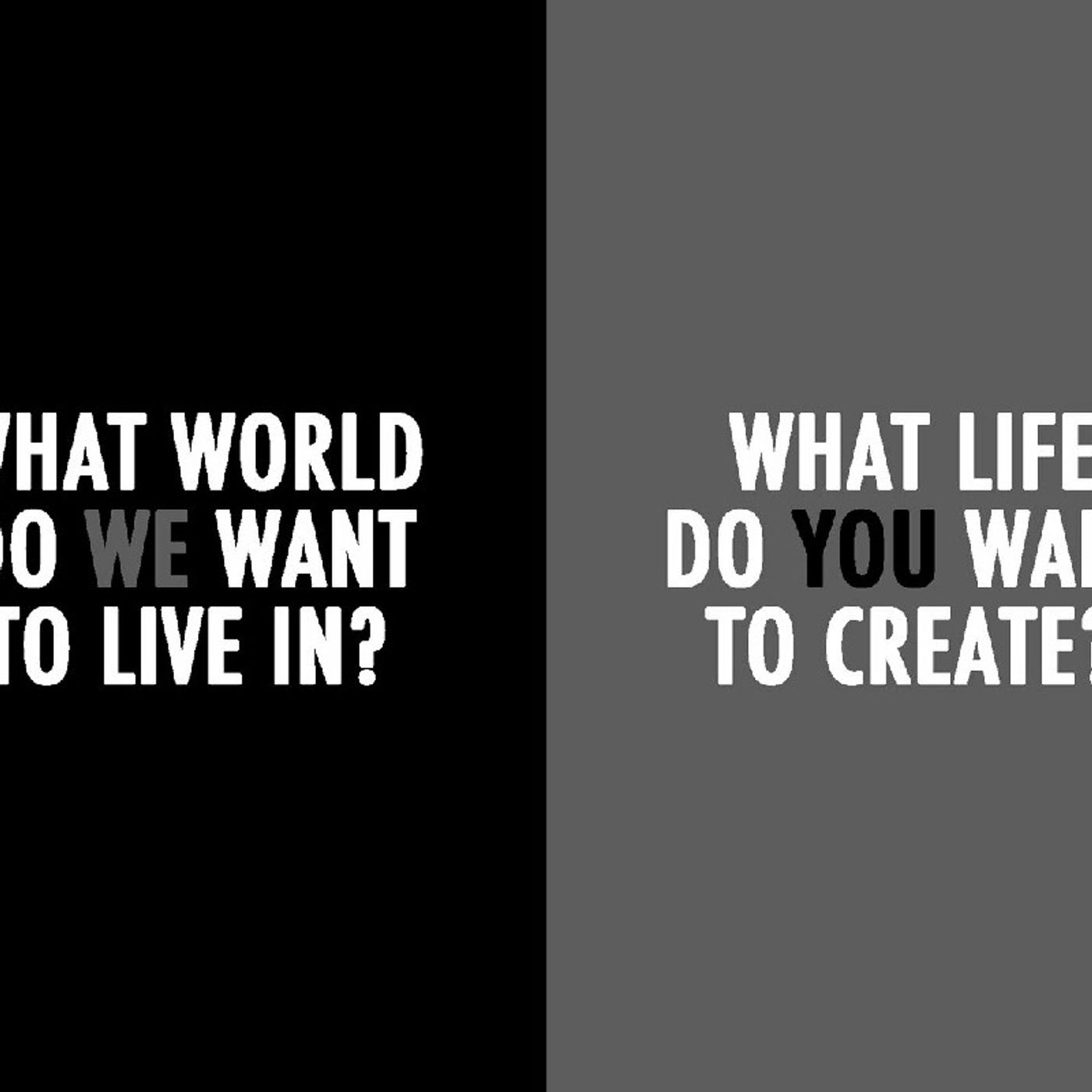 The Diversity Report