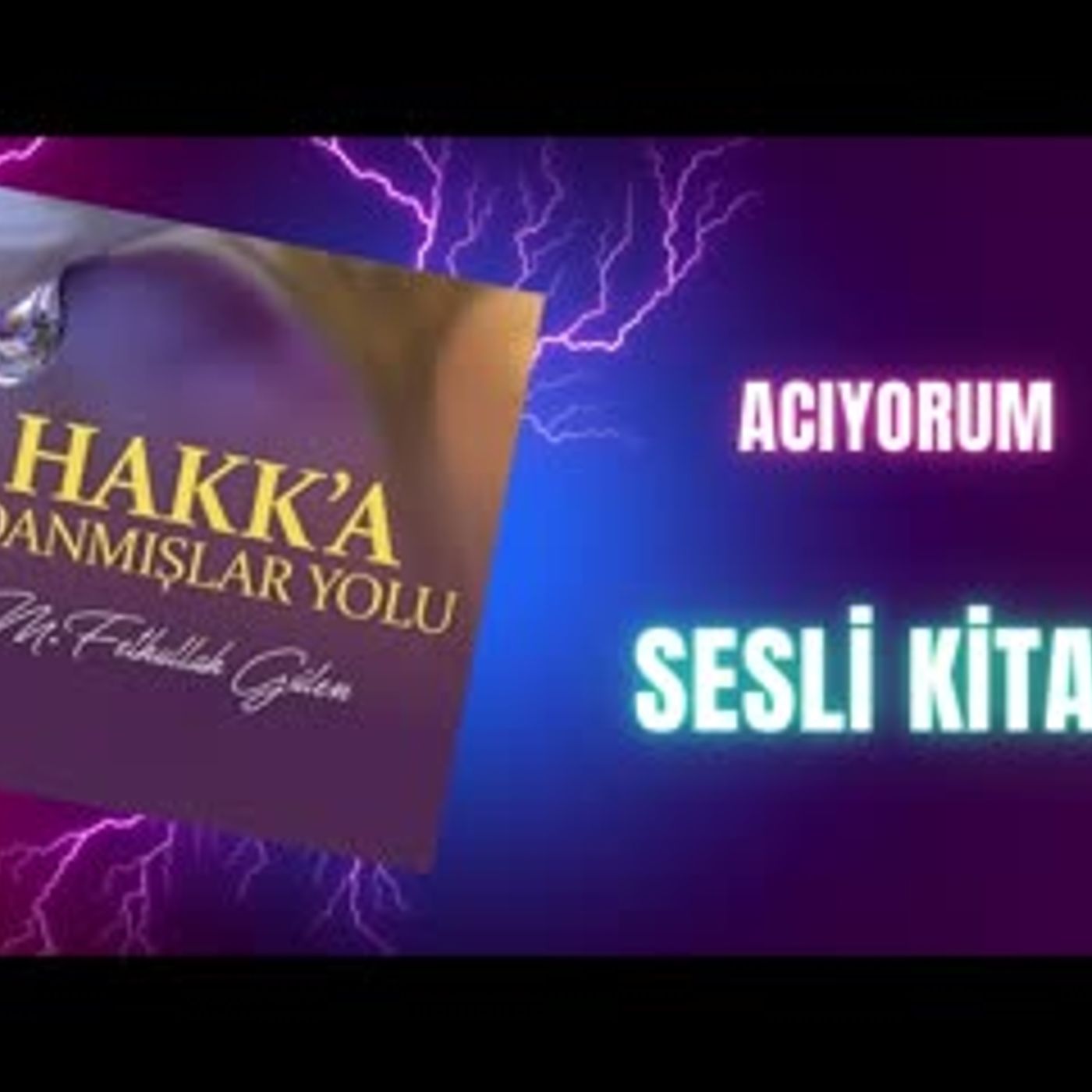 22.Acıyorum-Hakka Adanmışlar Yolu Sesli Kitap Fethullah Gülen episode artwork