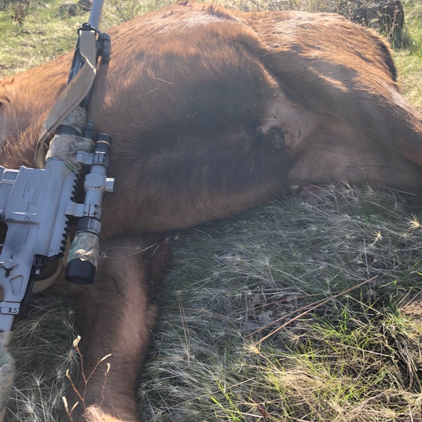 Bolt Gun University pt 2 - Triggers Safeties Muzzles - Guide to Practical Bolt Actions