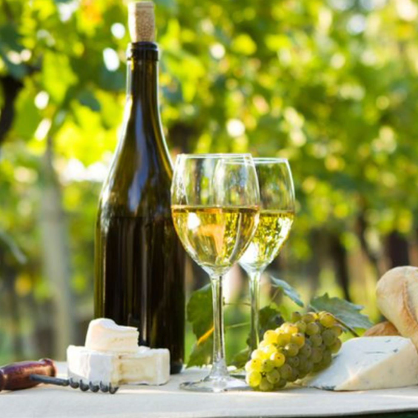 CasaLoce.com Audio Blog