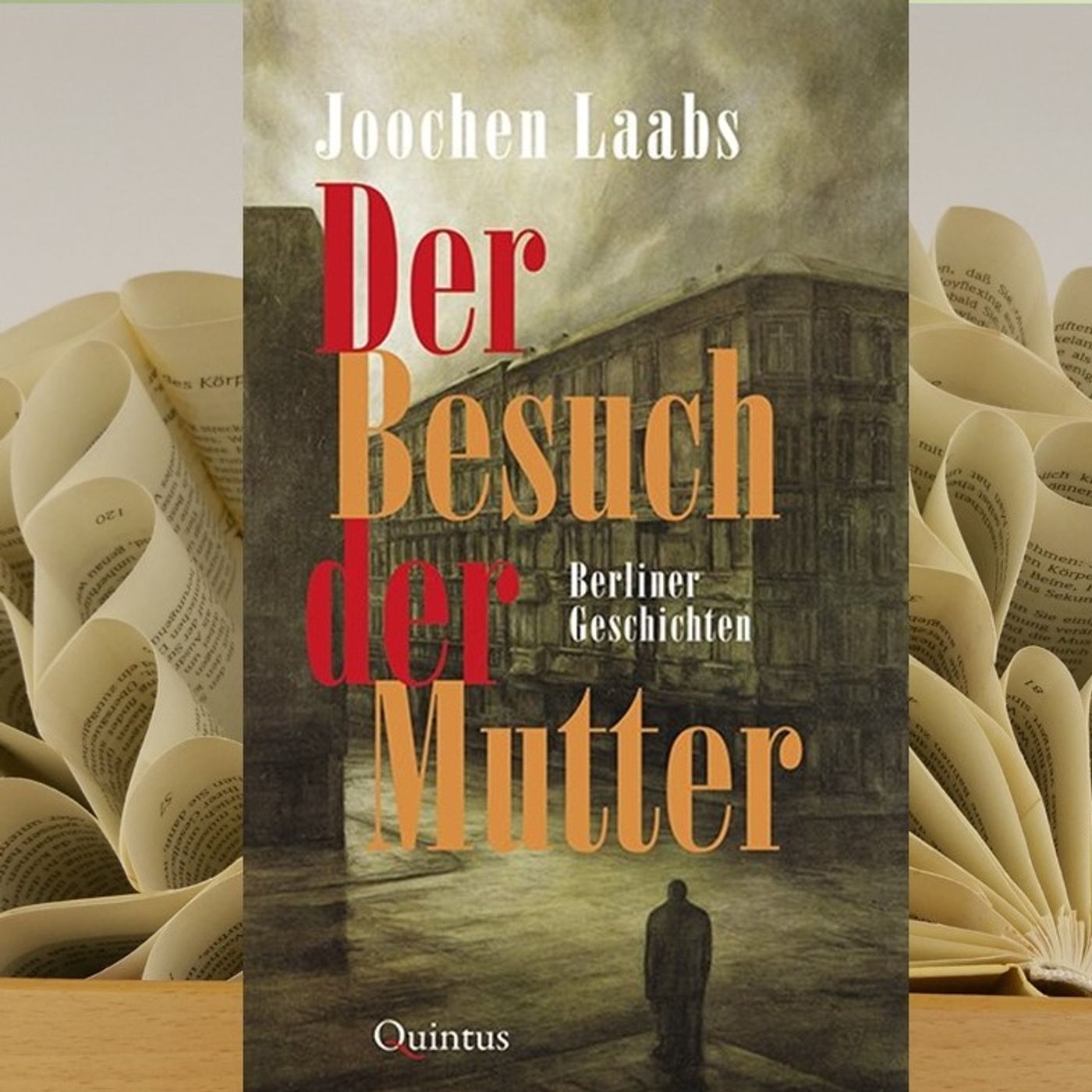 16.07. Joochen Laabs - Der Besuch der Mutter (Renate Zimmermann) episode artwork