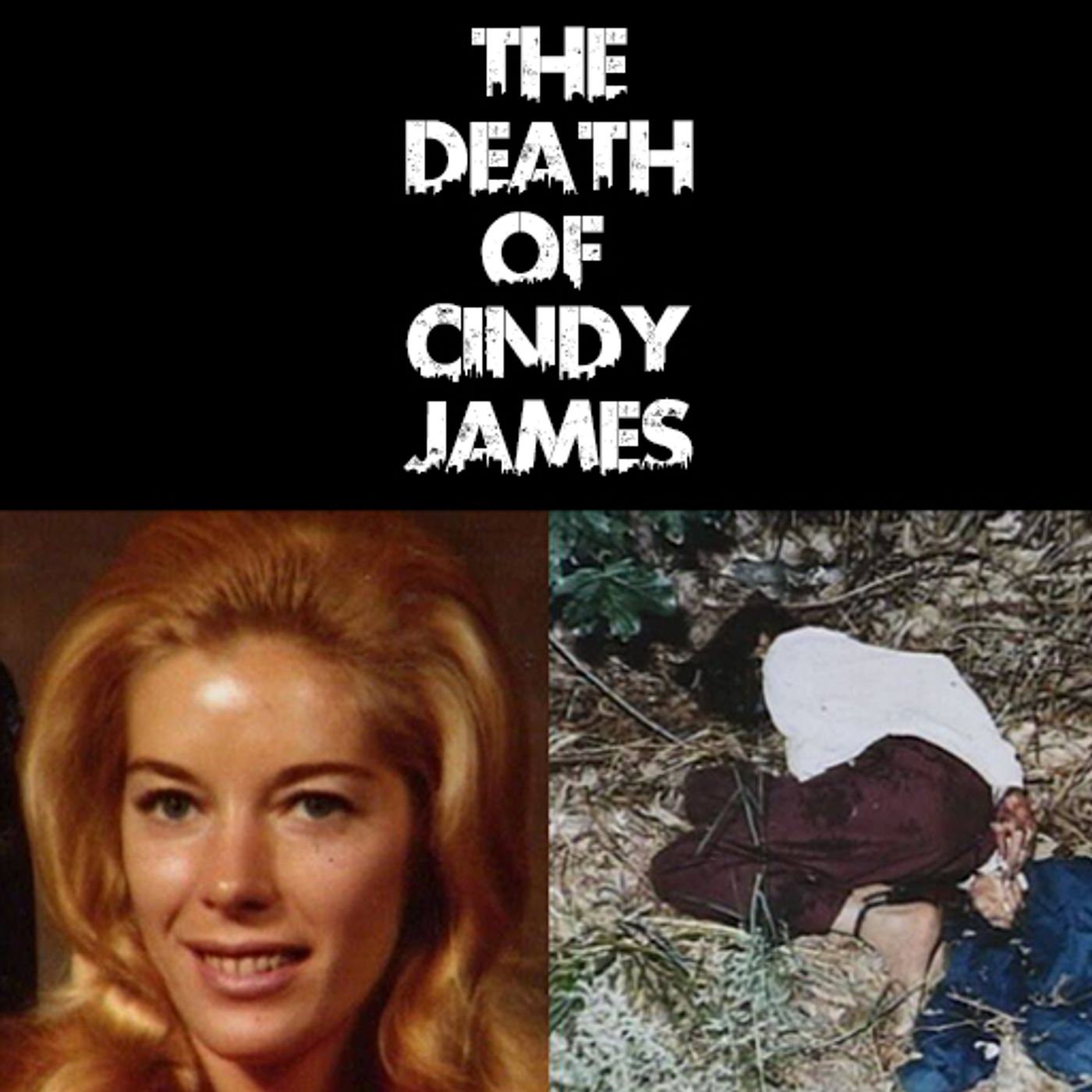 The Death of Cindy James