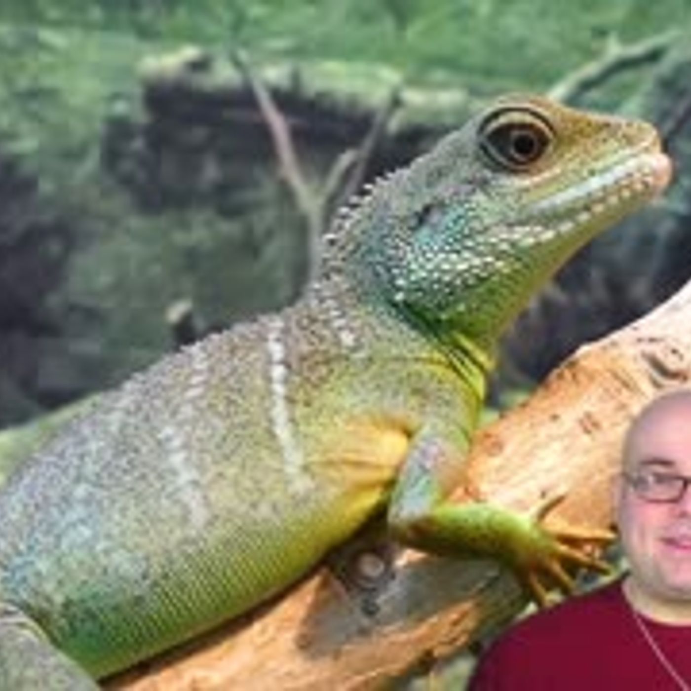 Perché esiste la sofferenza, cos'è l'impermanenza e come trascenderla