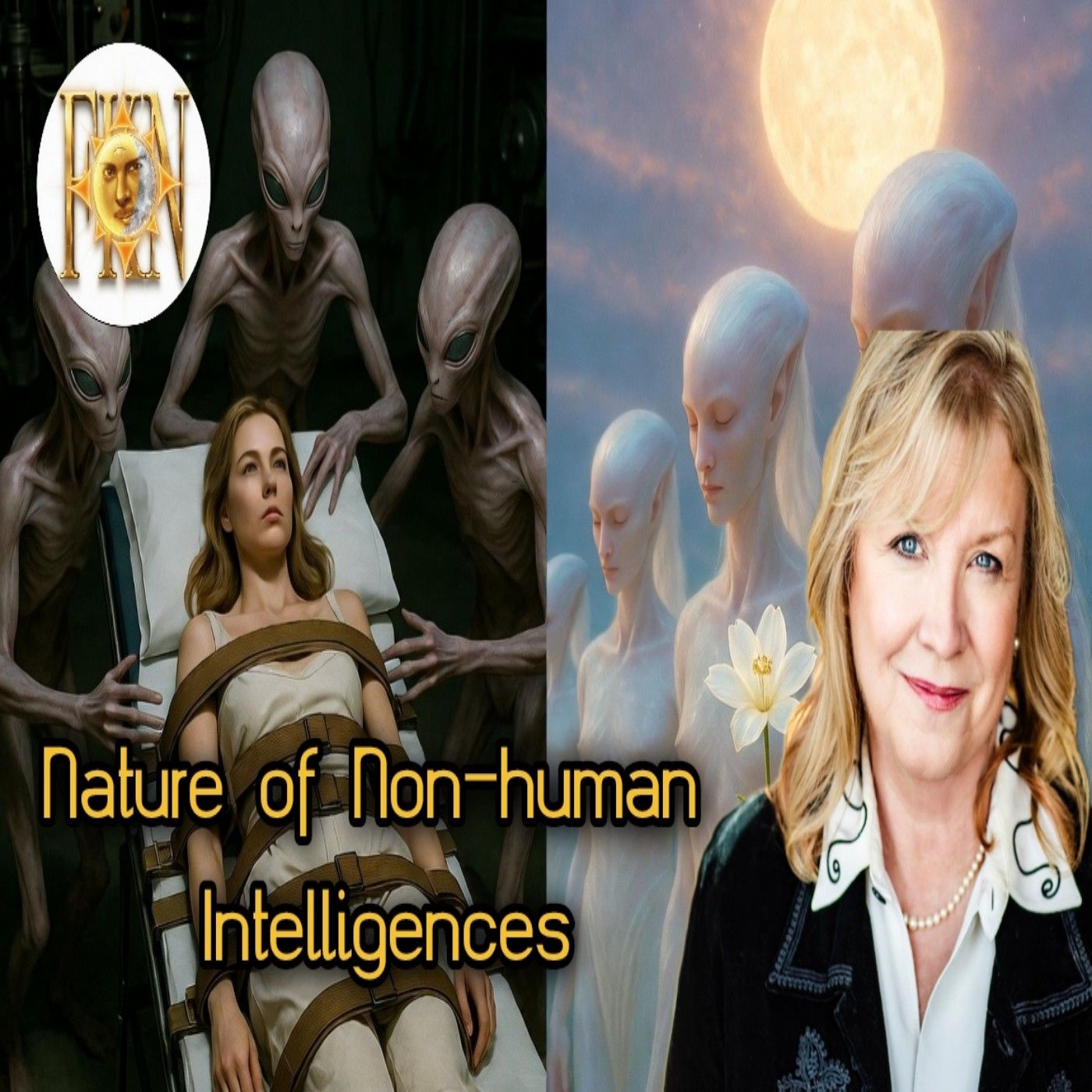 Nature of Non-human Intelligences, Deception or Evolution? | Lesley Mitchell-Clarke