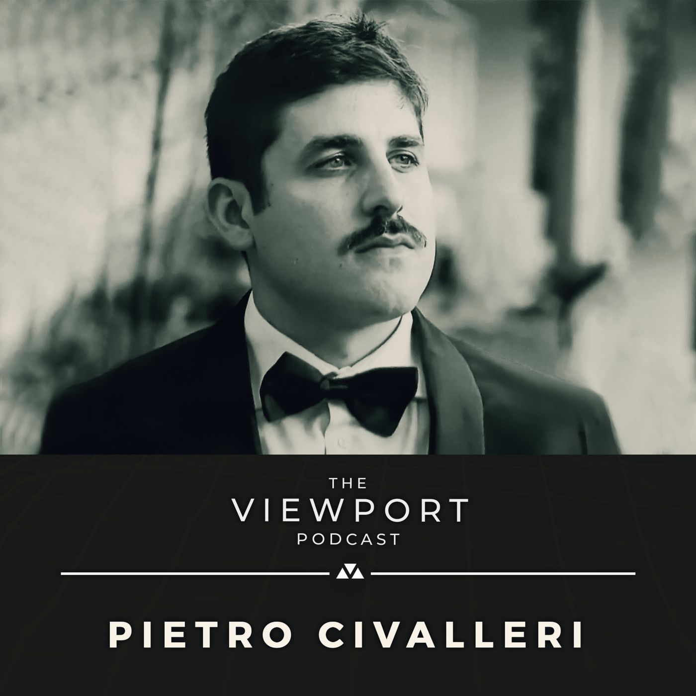 The Viewport Podcast