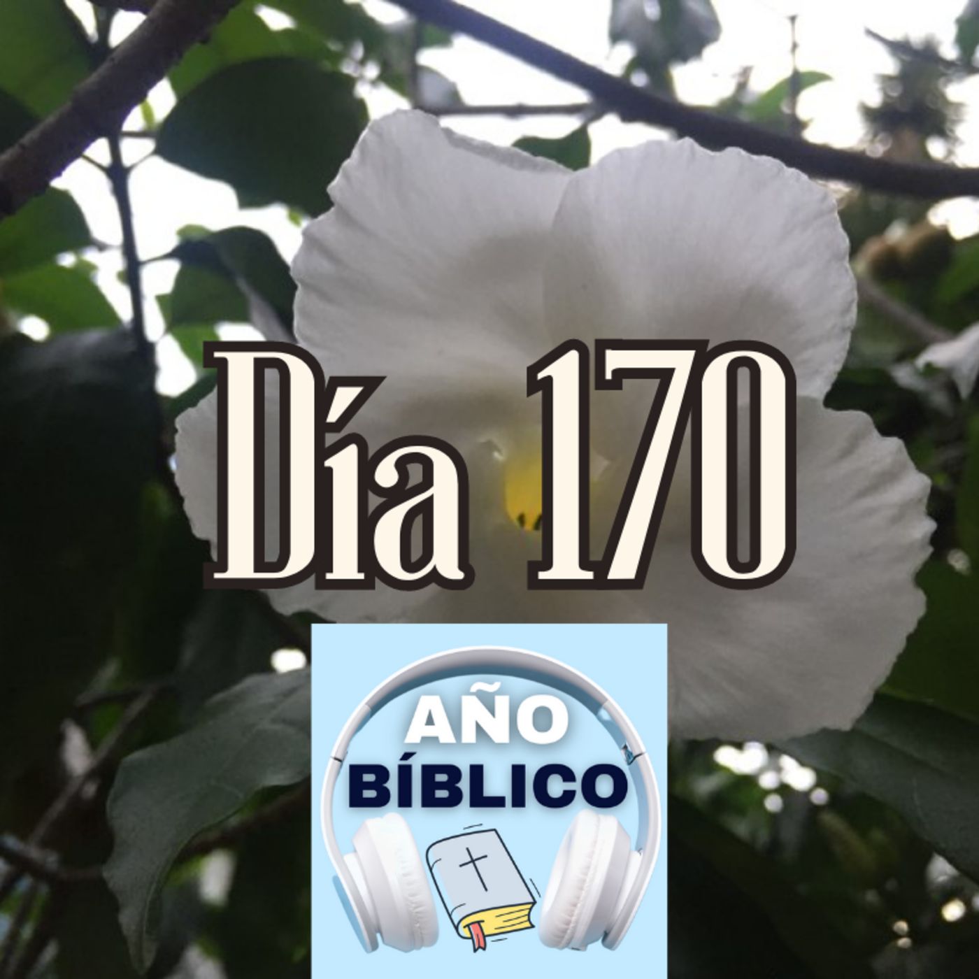 Día 170 - Salmos 73:17-24, 2 Reyes 20-21; 2 Reyes 22:1-7 y Hechos 28:1-16 episode artwork