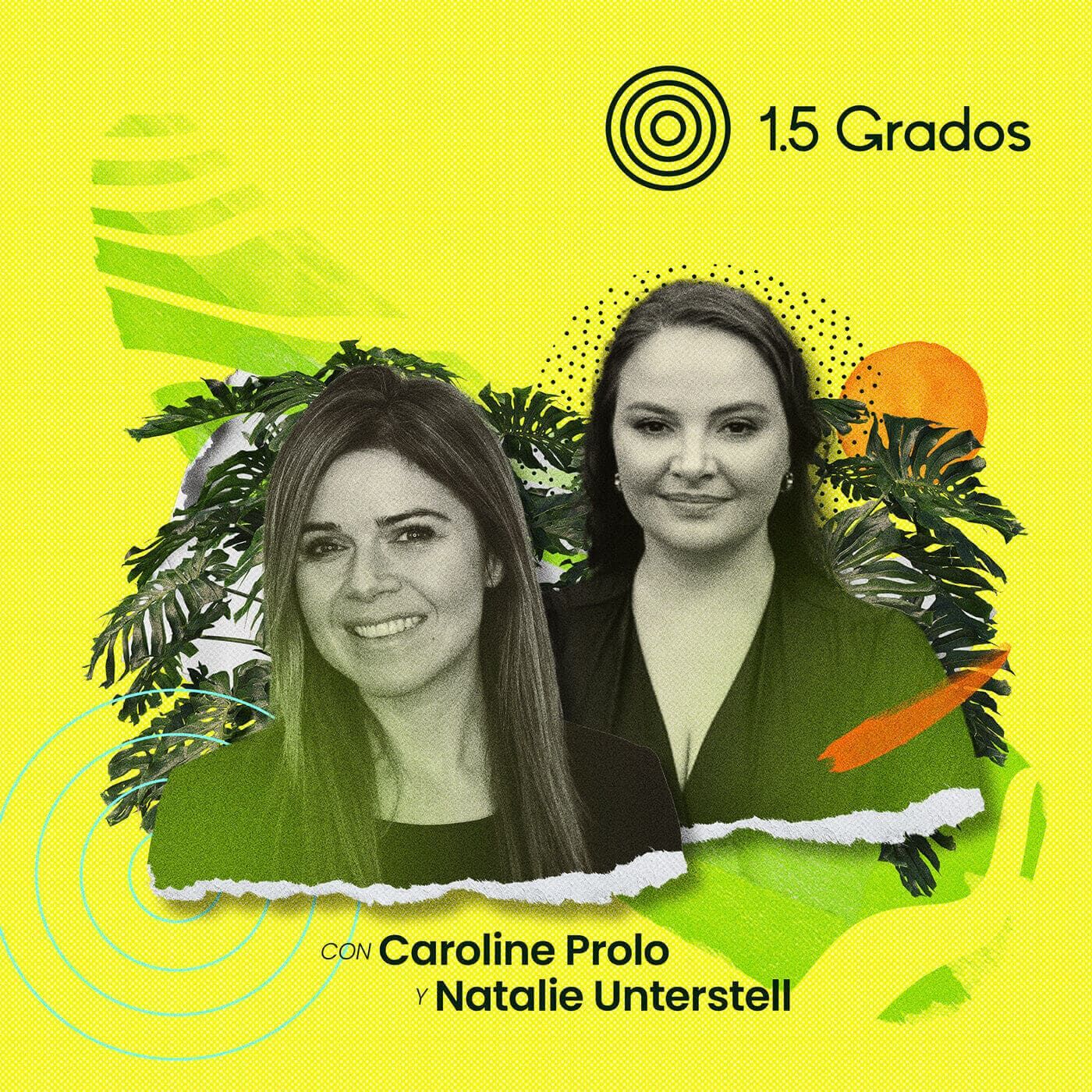 COP30 en la Amazonía: expectativas y desafíos