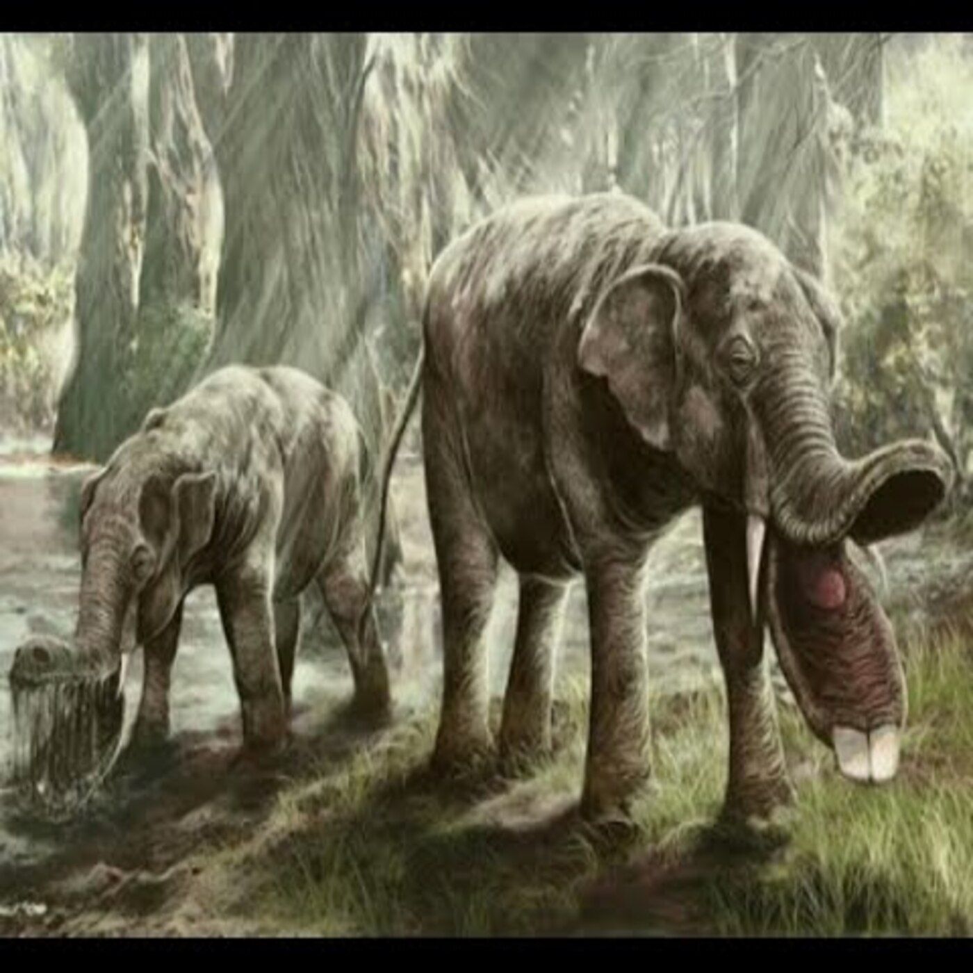 10 Nightmarish Animals you will be Happy are Extinct episode artwork