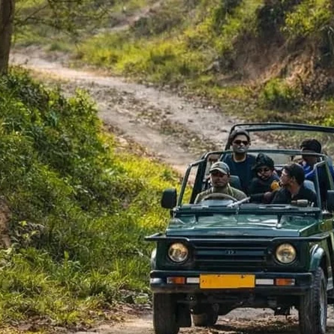 Jim Corbett Corporate Tour episode artwork