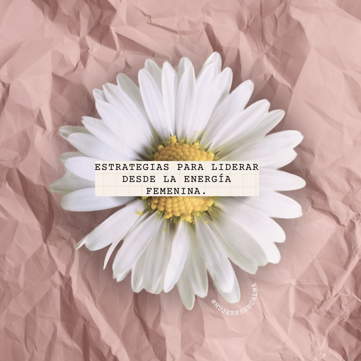 164 - Estrategias para liderar desde la energía femenina