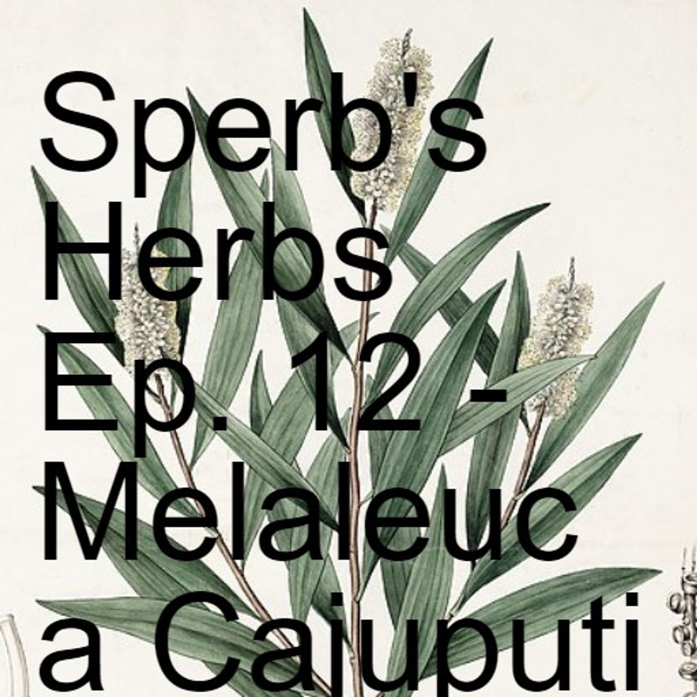 Sperb\'s Herbs Podcast
