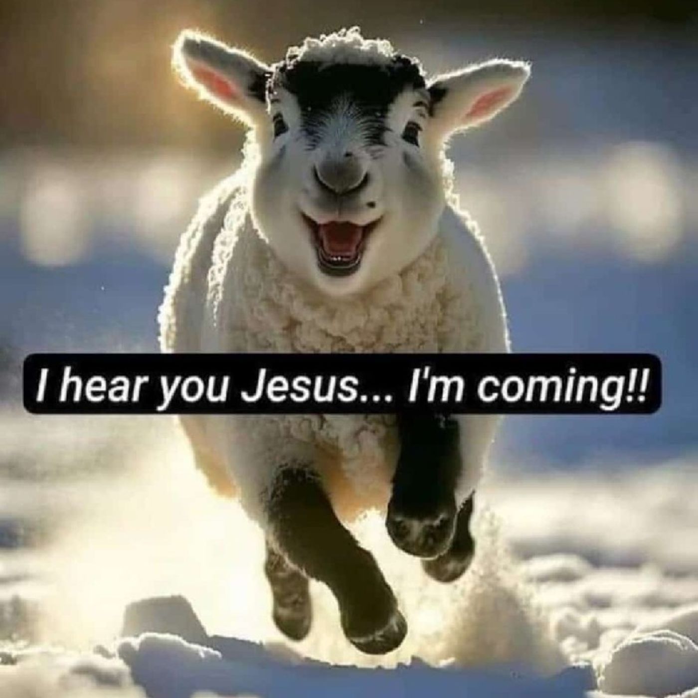 Kathleen_InChrist\'s New Life