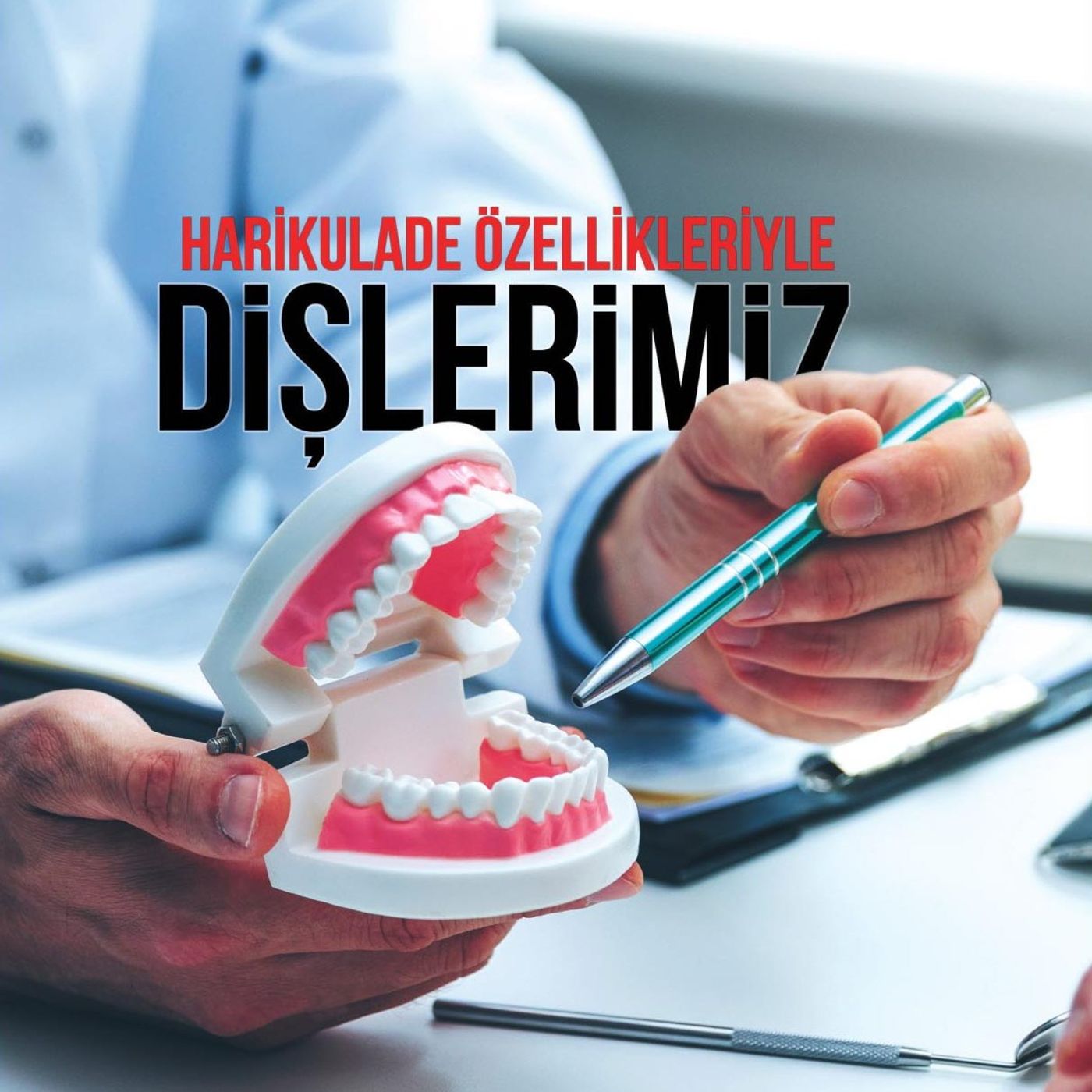 Harikulade Özellikleriyle Dişlerimiz episode artwork