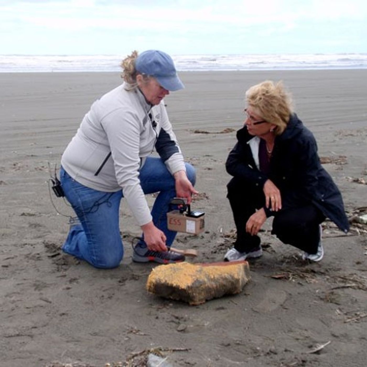 Tsunami Debris That Washes Ashore Tested For Radiation episode artwork