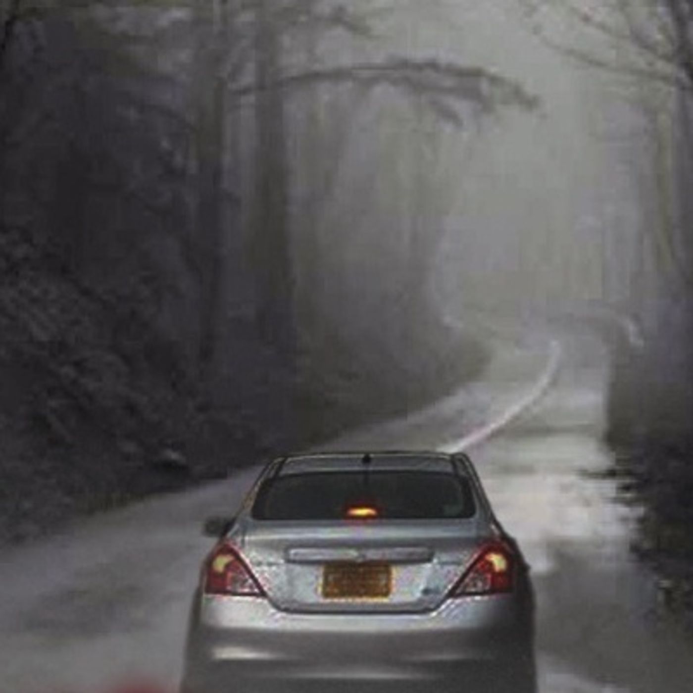 El Viaje Del Terror Historias De Terror - REDE