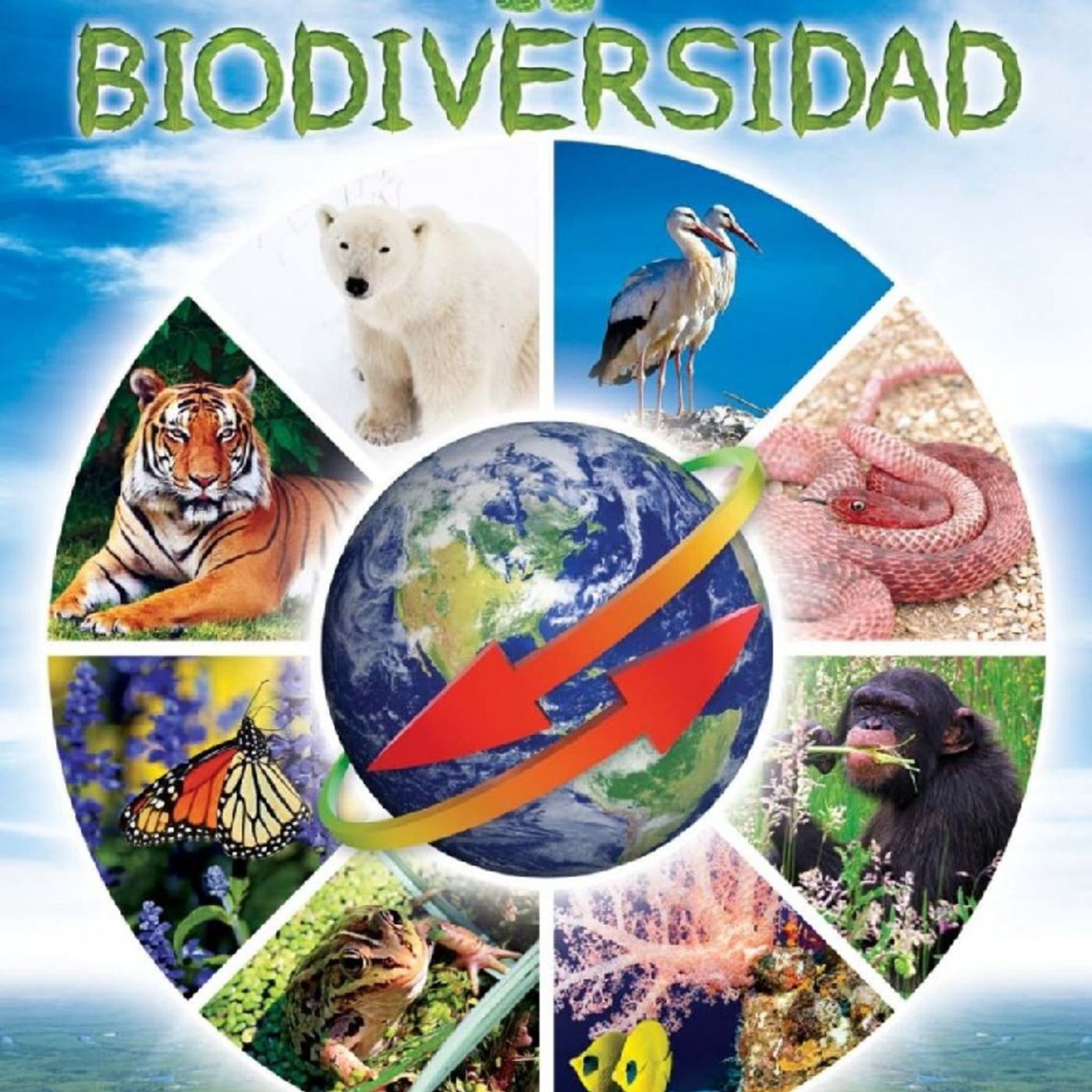 Procesos de gestión ambiental episode artwork