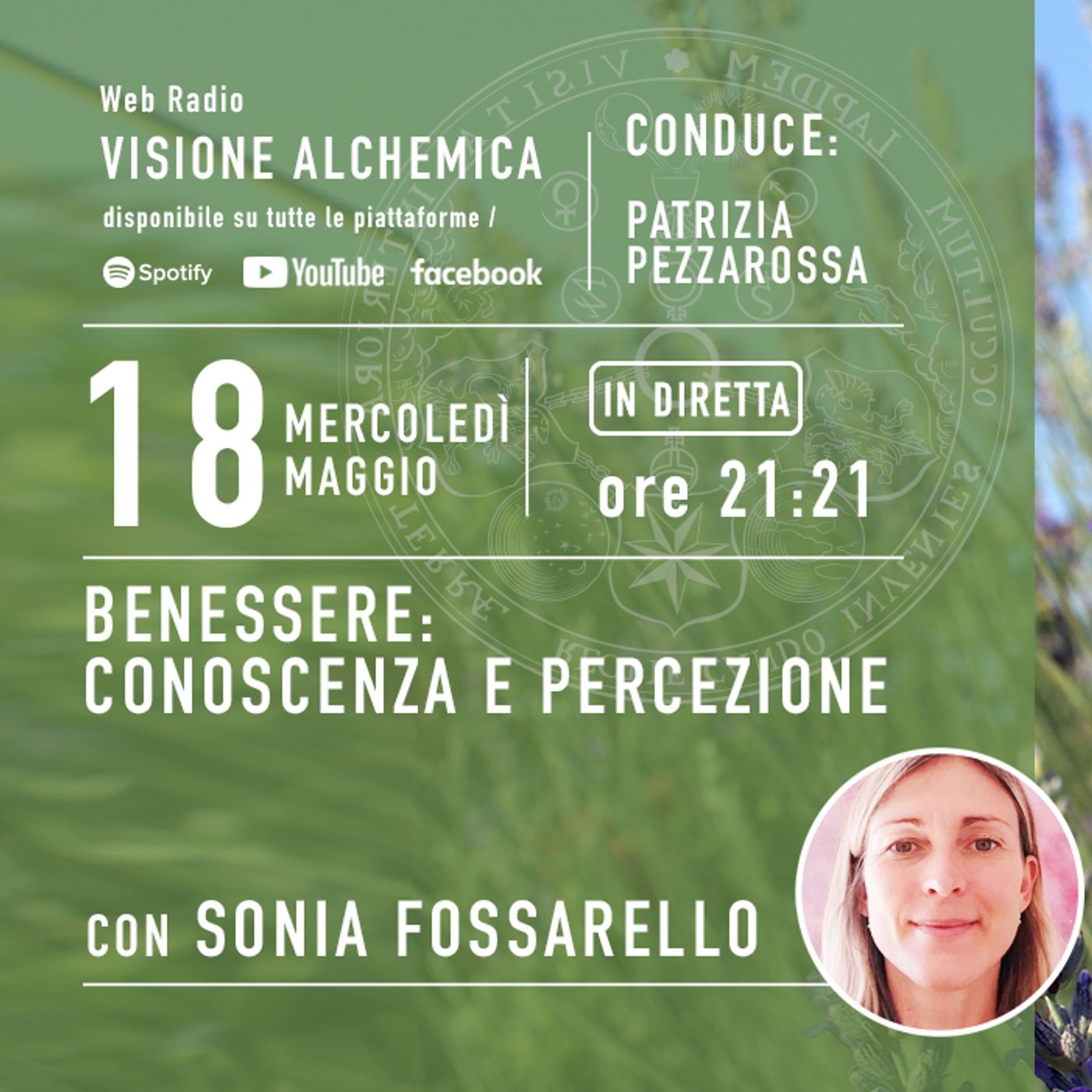 Visione Alchemica