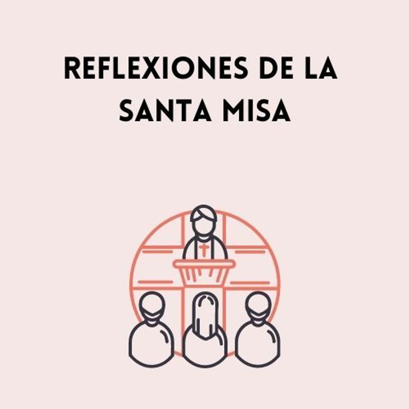 Reflexiones de la santa misa