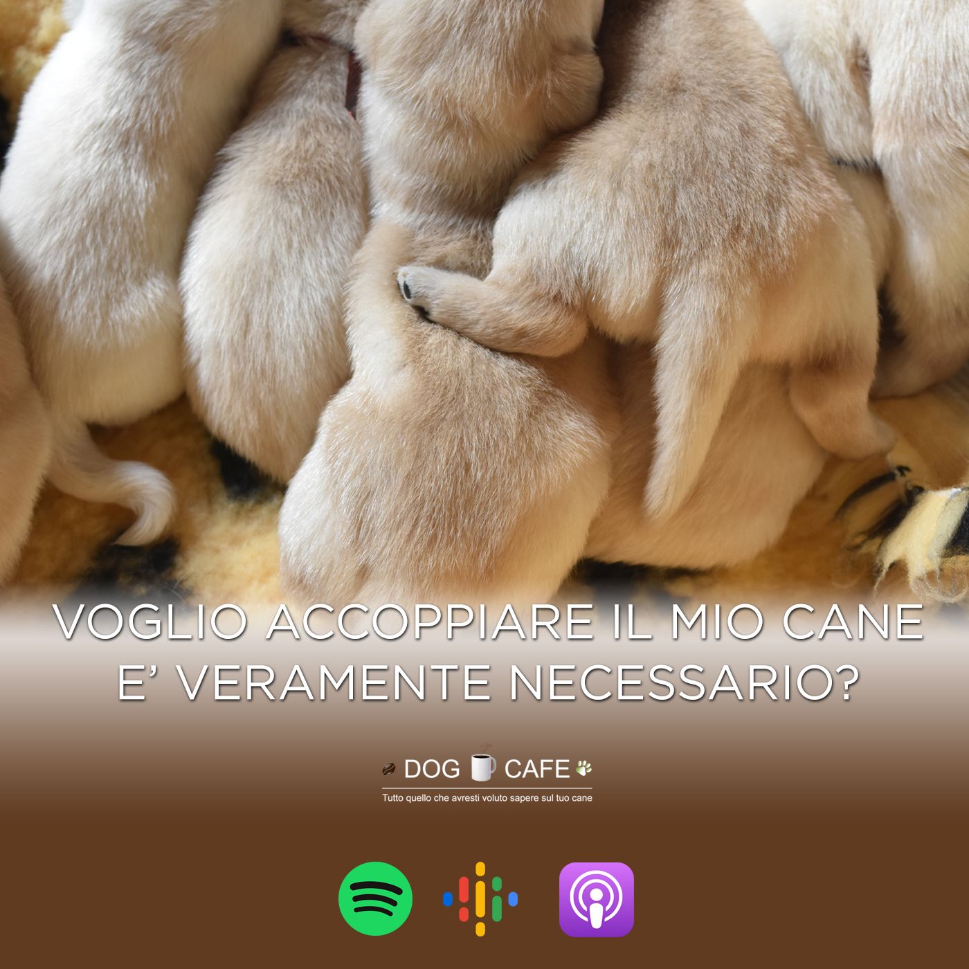 Dog Cafe Podcast