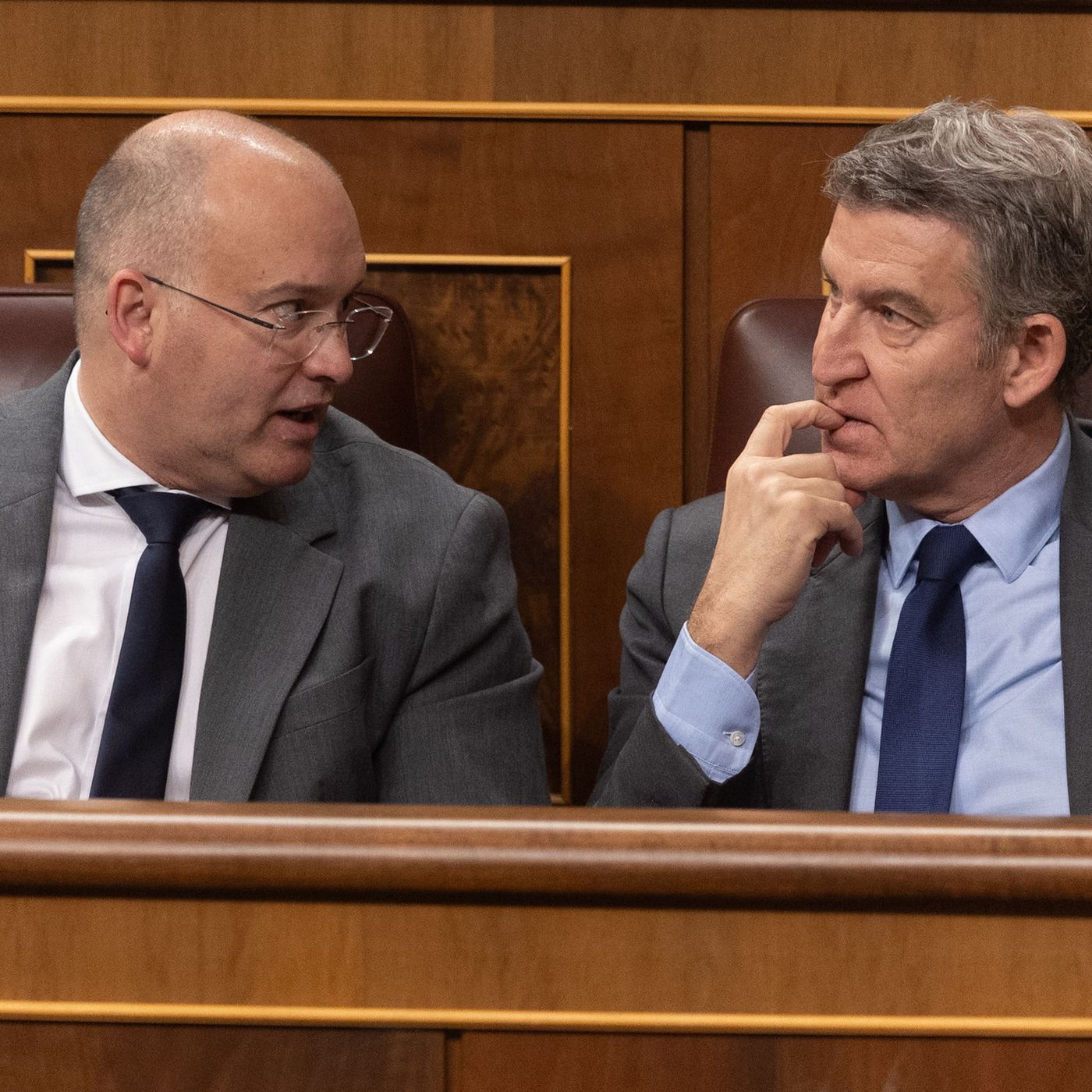 Tertulia de Federico: Feijóo - Tellado, un tándem dispar en busca de una mayoría absoluta