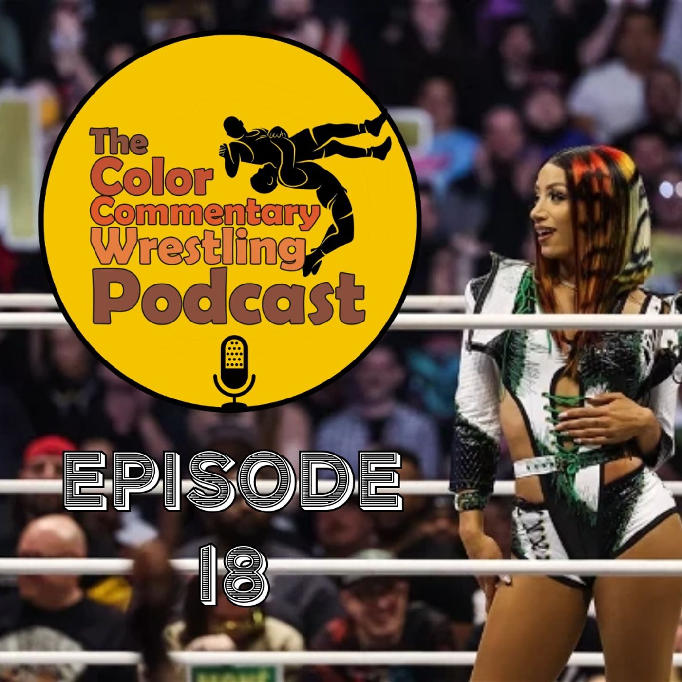 The Color Commentary Wrestling Podcast - Episode 18 The Color Commentary Wrestling Podcast - Episode 18