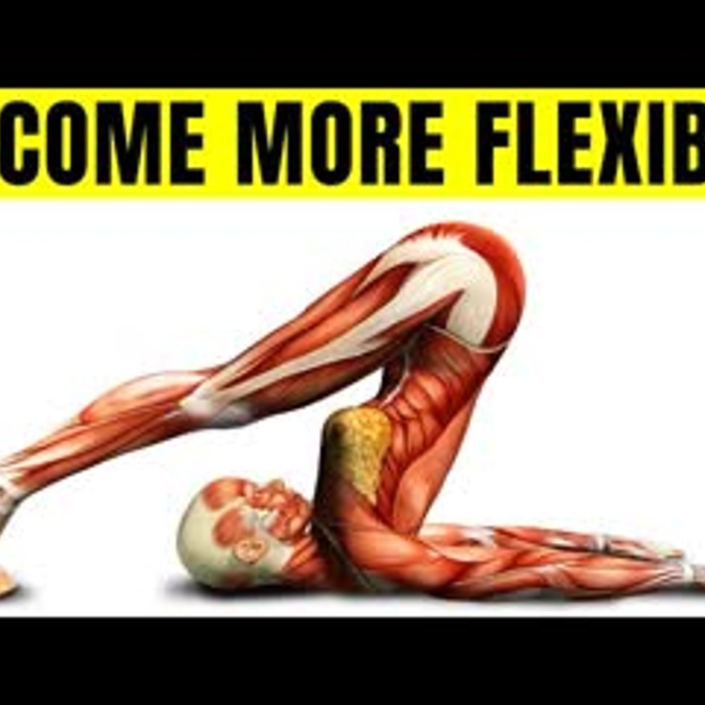14 Stretches That Will Make You More Flexible episode artwork